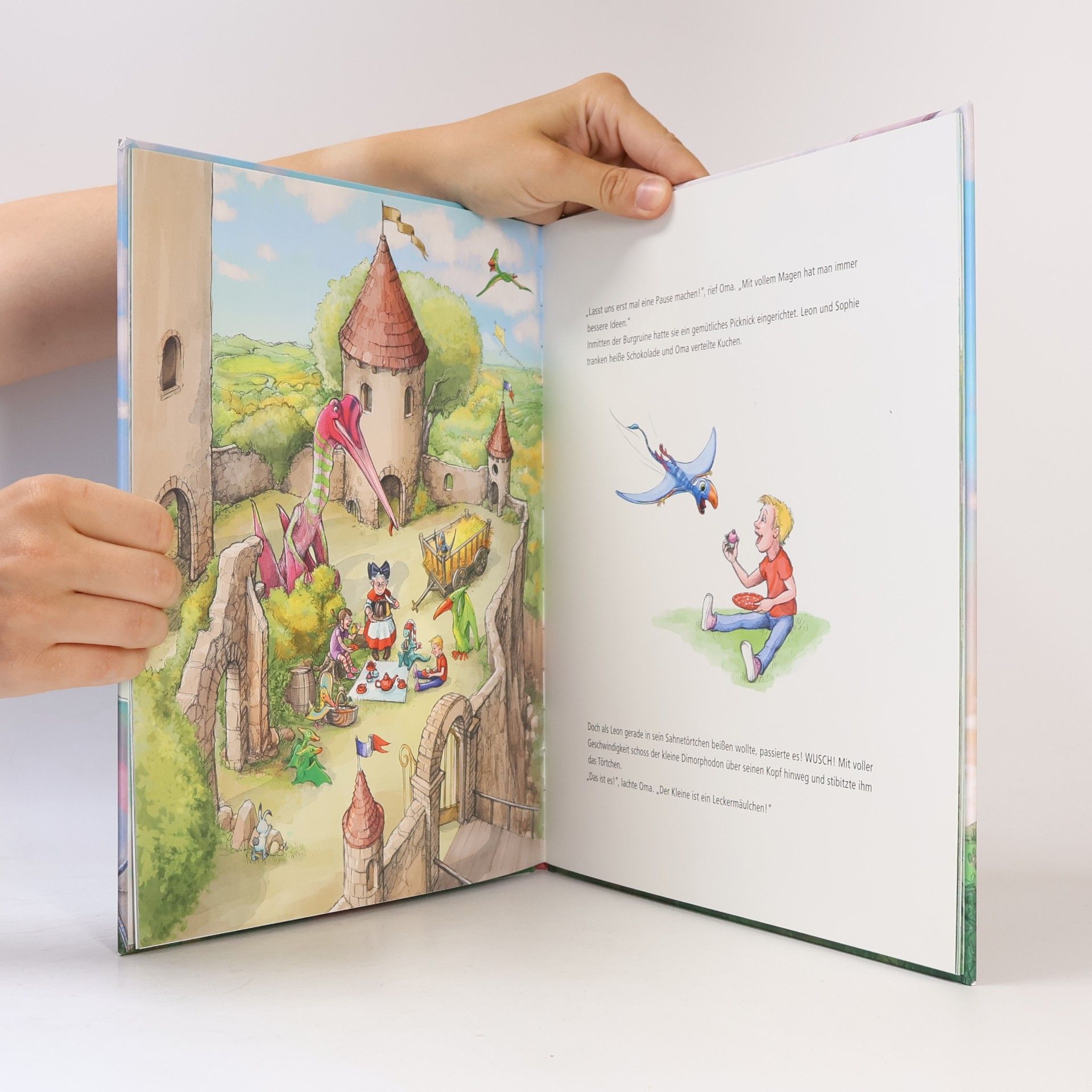 Dominik Hochwald Dinosaurier in der Flugschule (Bd. 3)