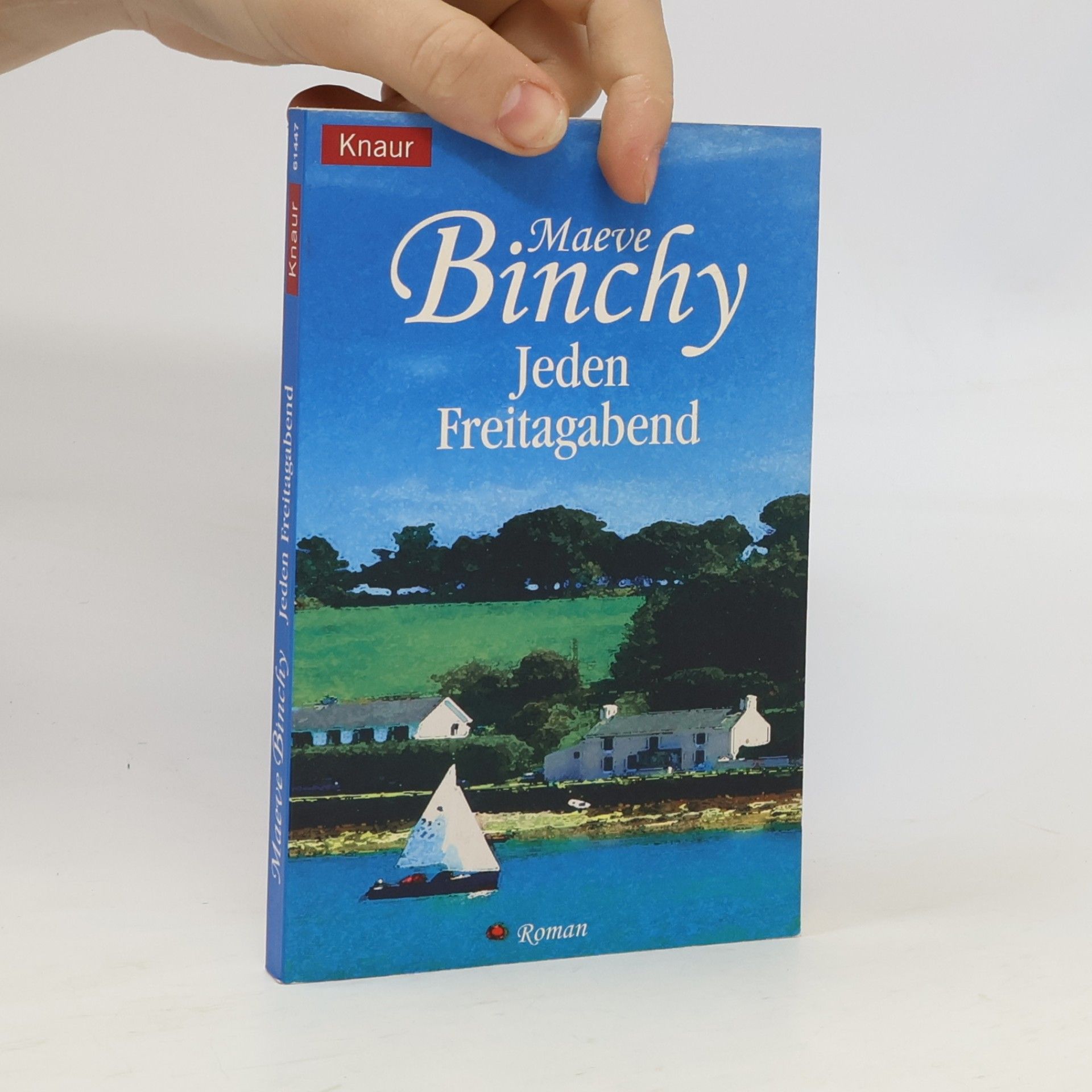 Maeve Binchy Jeden Freitagabend