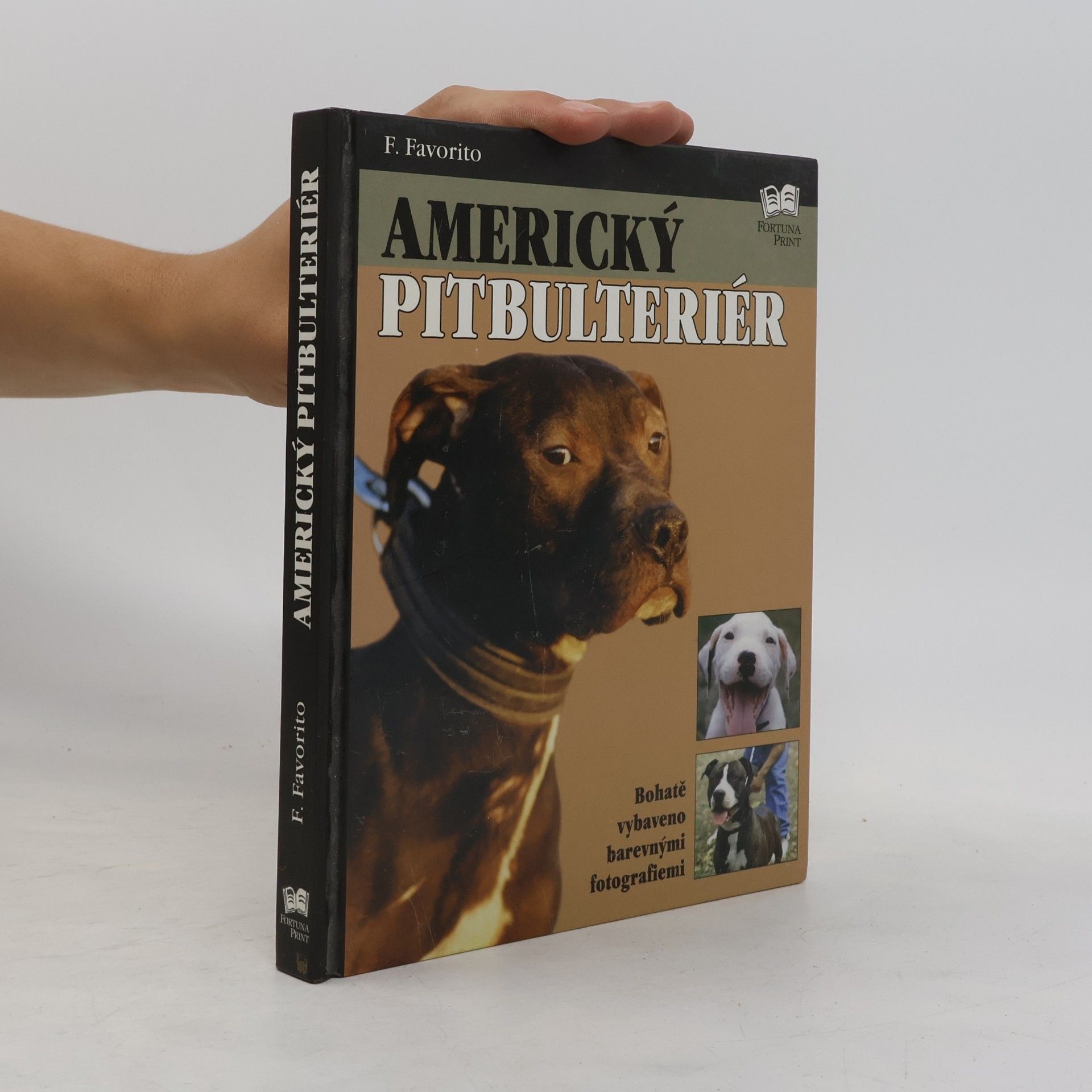 F. Favorito Americký pitbulteriér