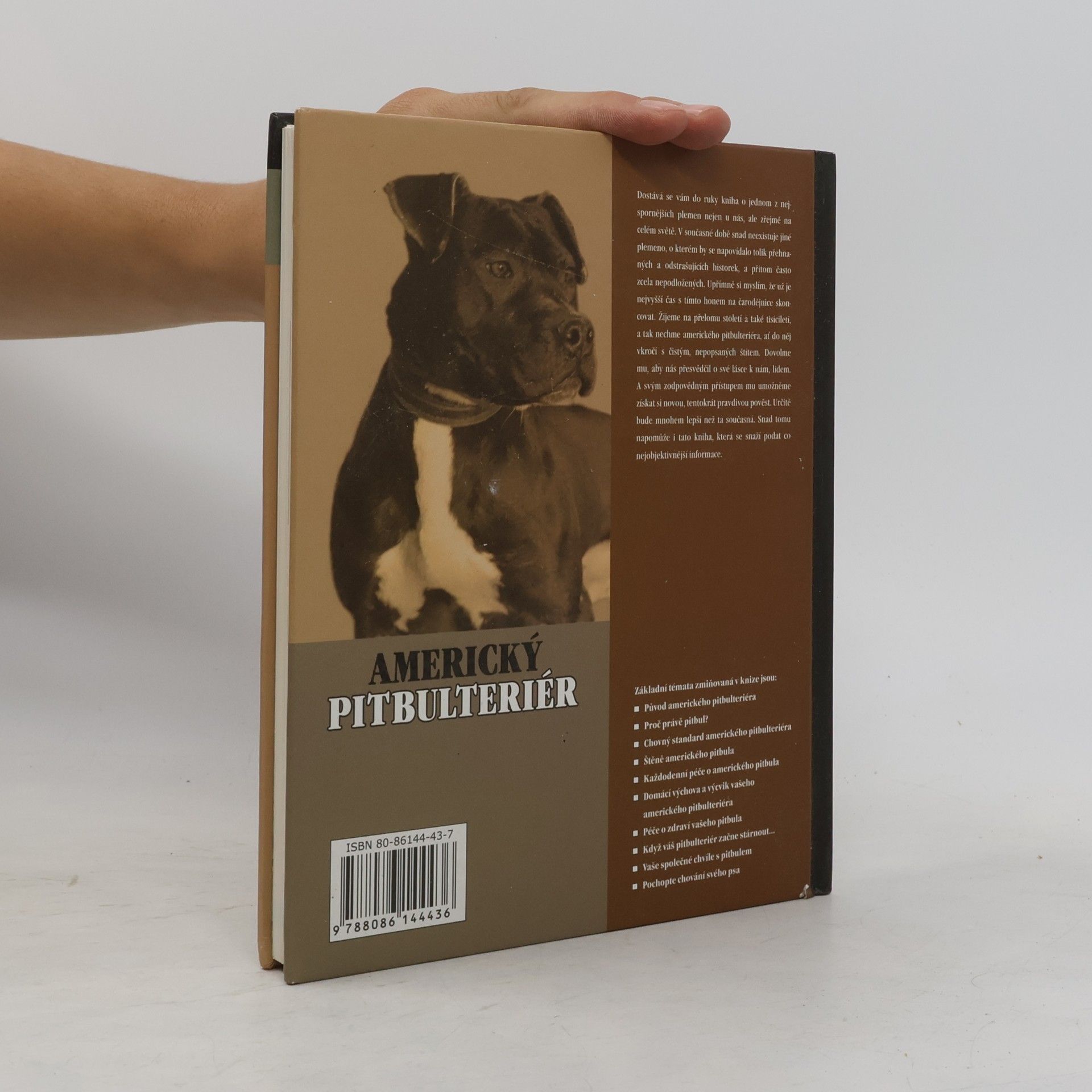 F. Favorito Americký pitbulteriér