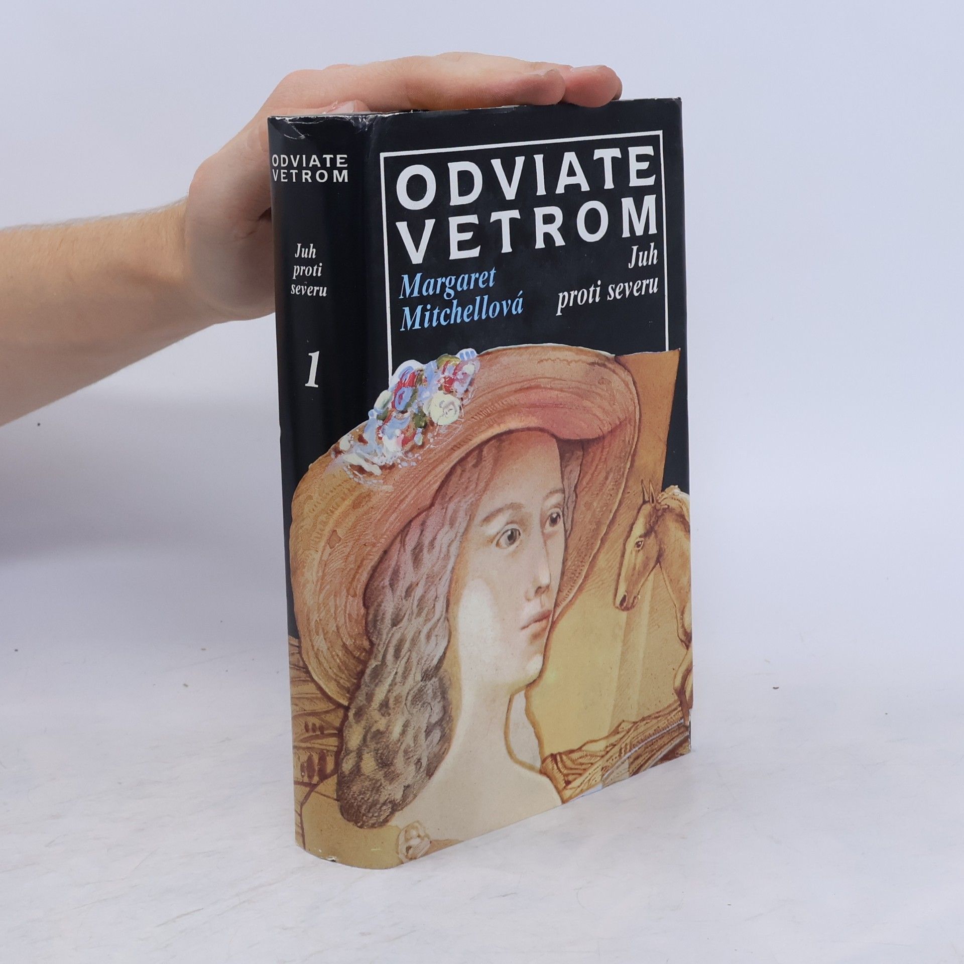 Margaret Mitchell Odviate vetrom 1. Juh proti severu