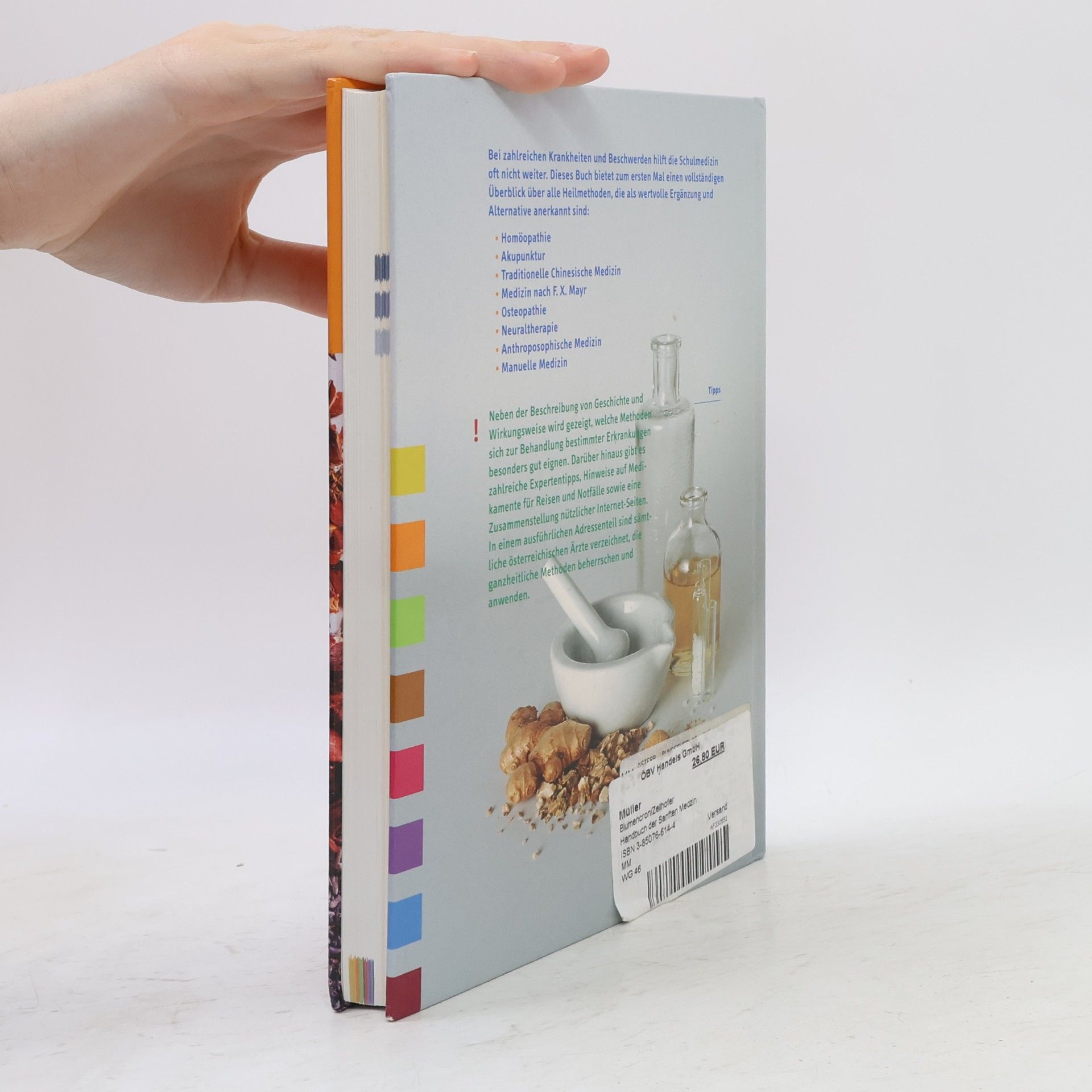 Britta Blumencron Handbuch der sanften Medizin