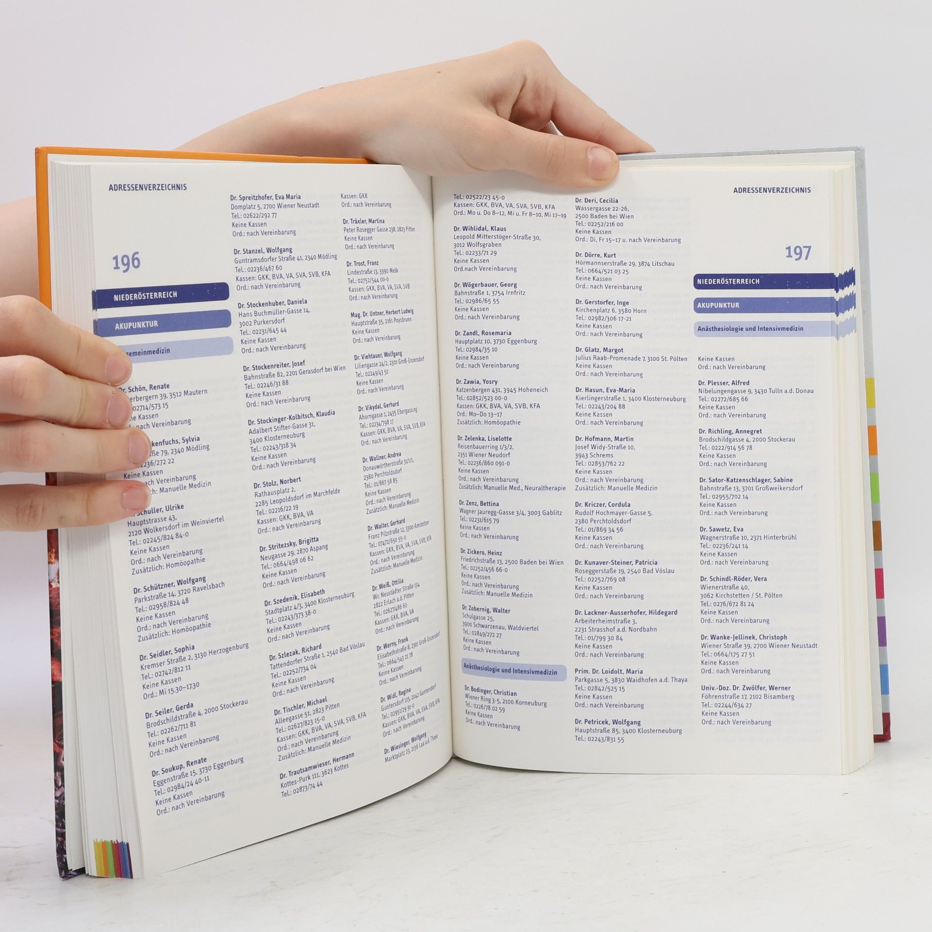 Britta Blumencron Handbuch der sanften Medizin