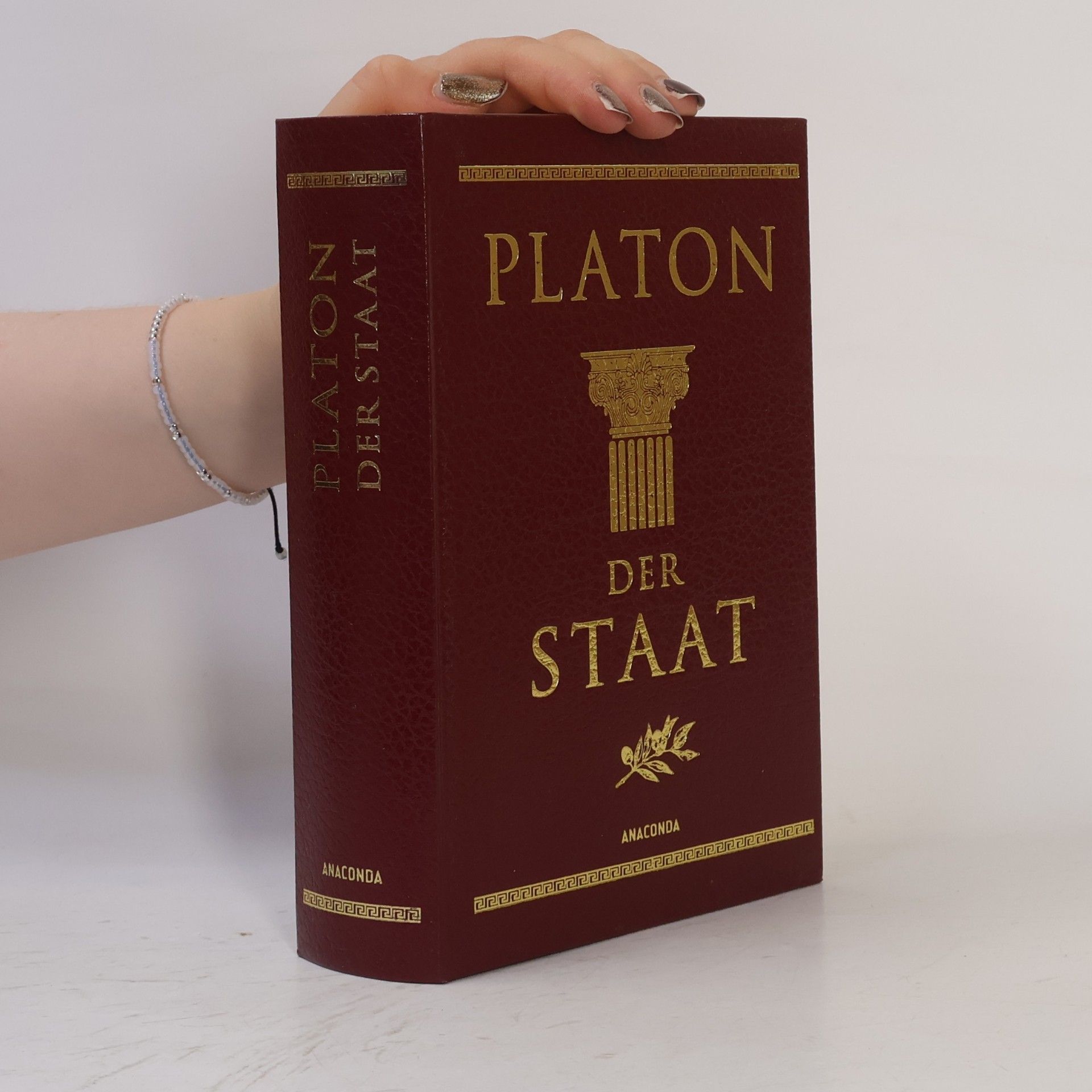 Platon Der Staat
