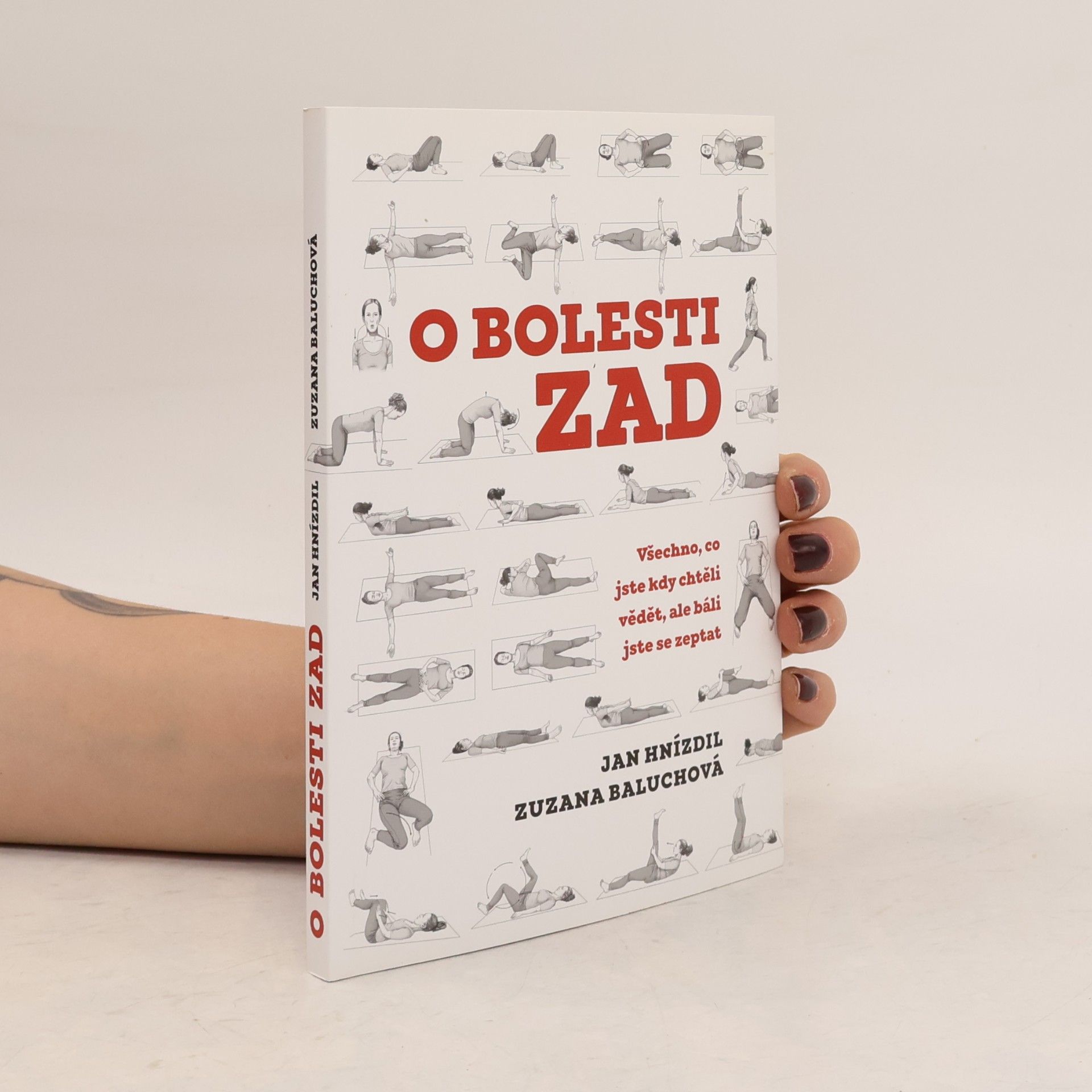 Jan Hnízdil O bolesti zad