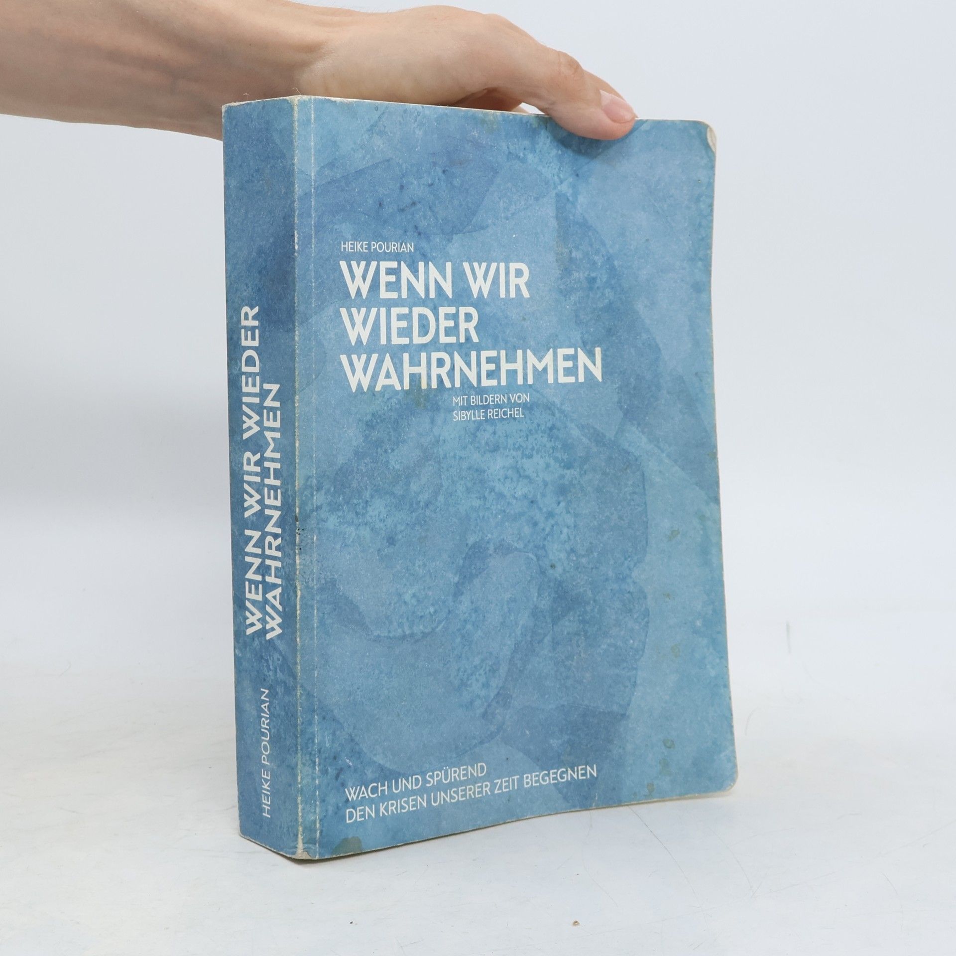 Heike Pourian Wenn wir wieder Wahrnehmen