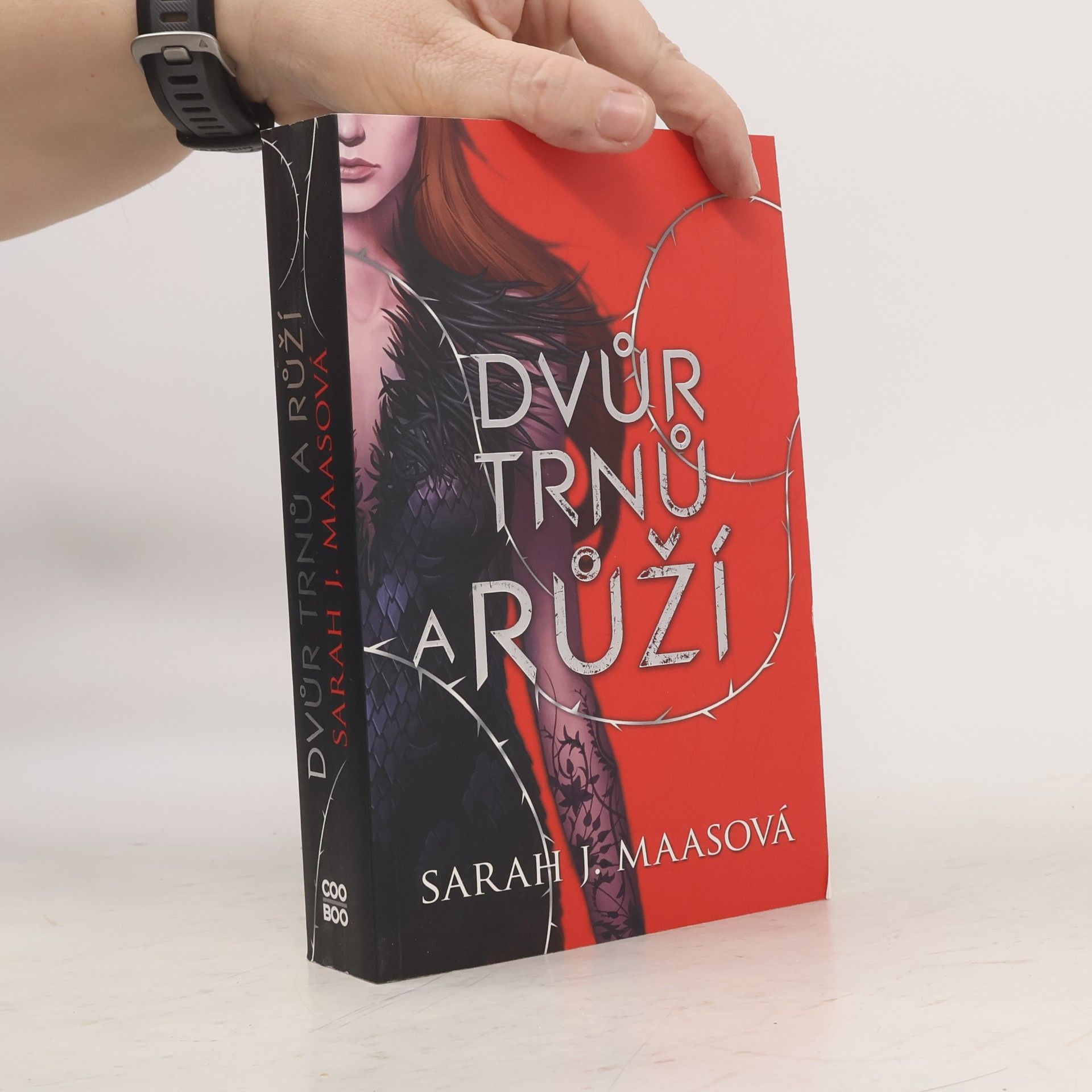 Sarah J. Maas Dvůr trnů a růží
