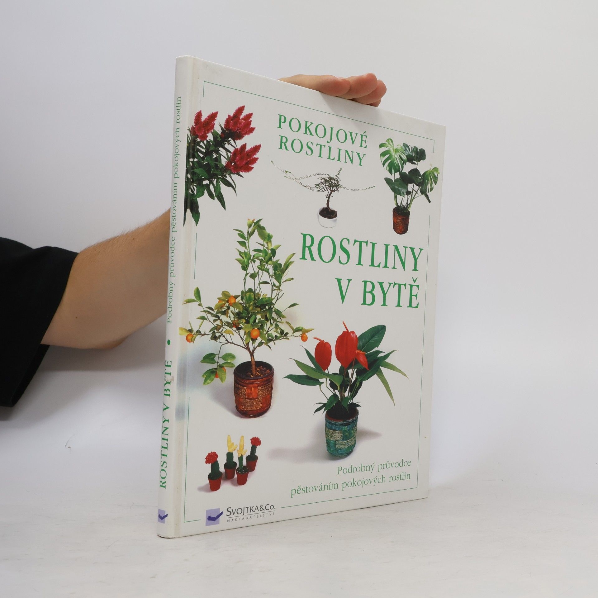 Collectif d'auteurs Rostliny v bytě. Pokojové rostliny