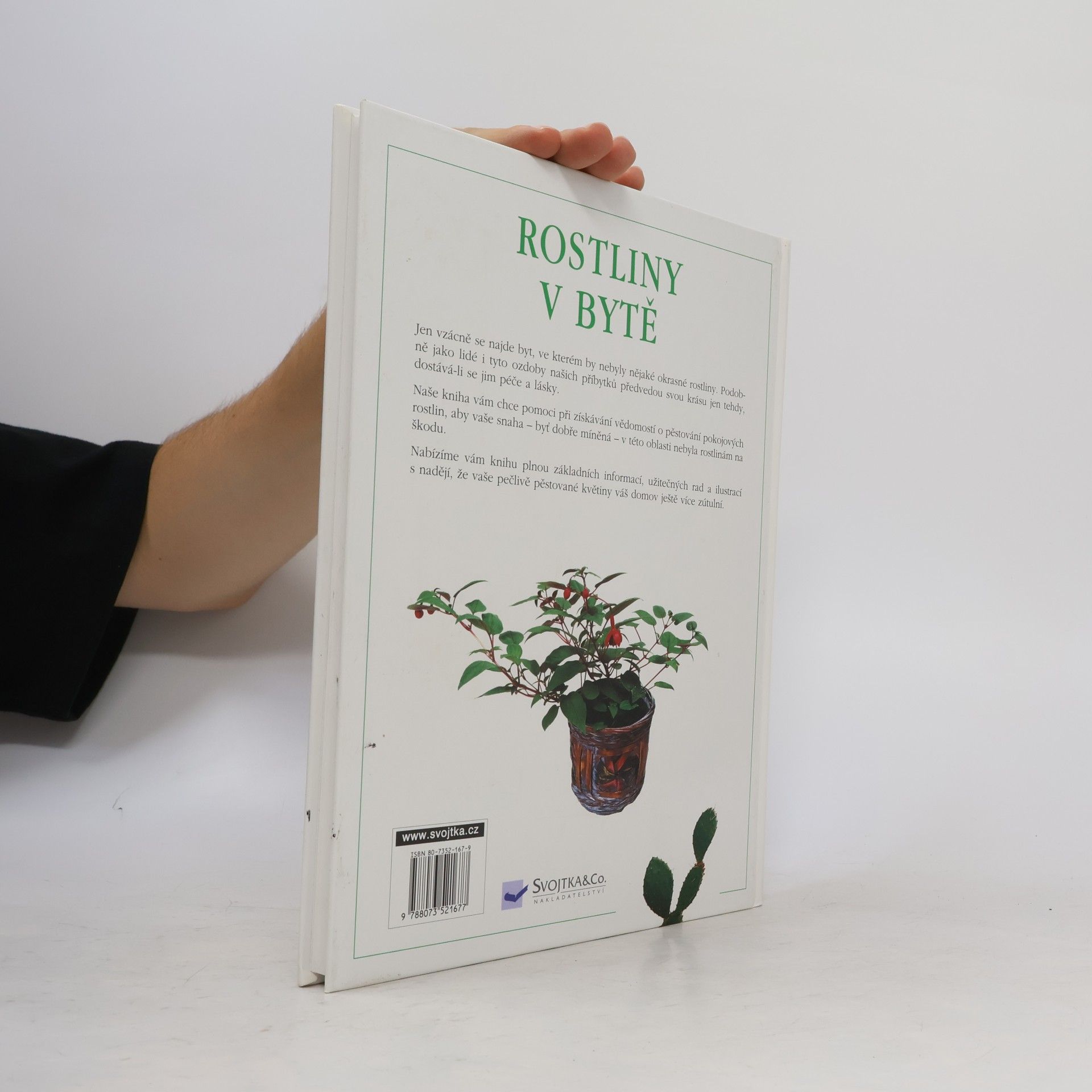 Collectif d'auteurs Rostliny v bytě. Pokojové rostliny
