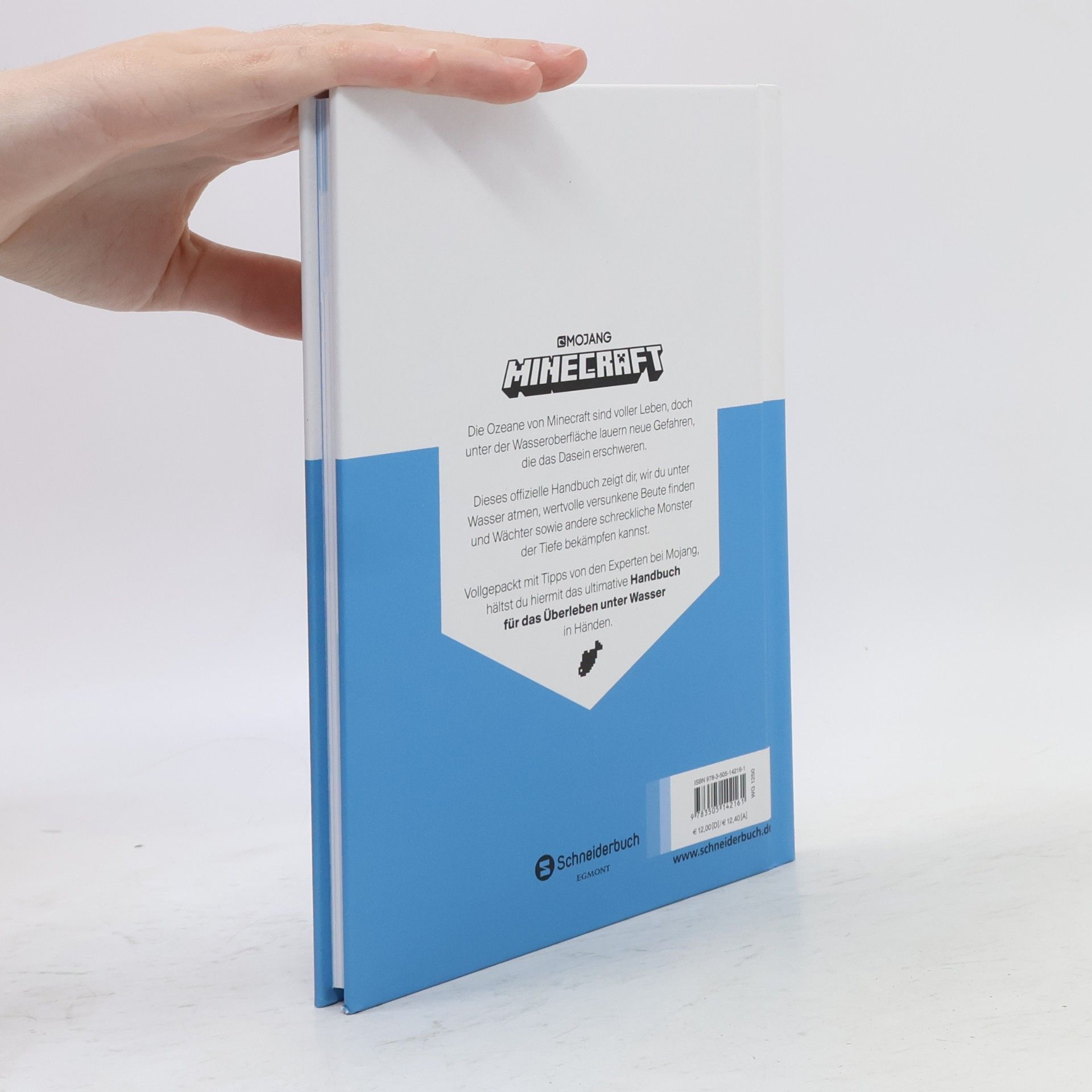 Stephanie Milton Minecraft, Handbuch Überleben im Wasser