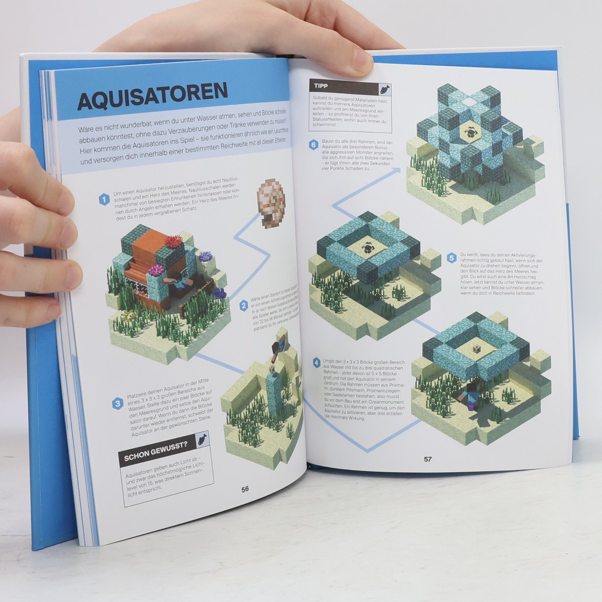 Stephanie Milton Minecraft, Handbuch Überleben im Wasser