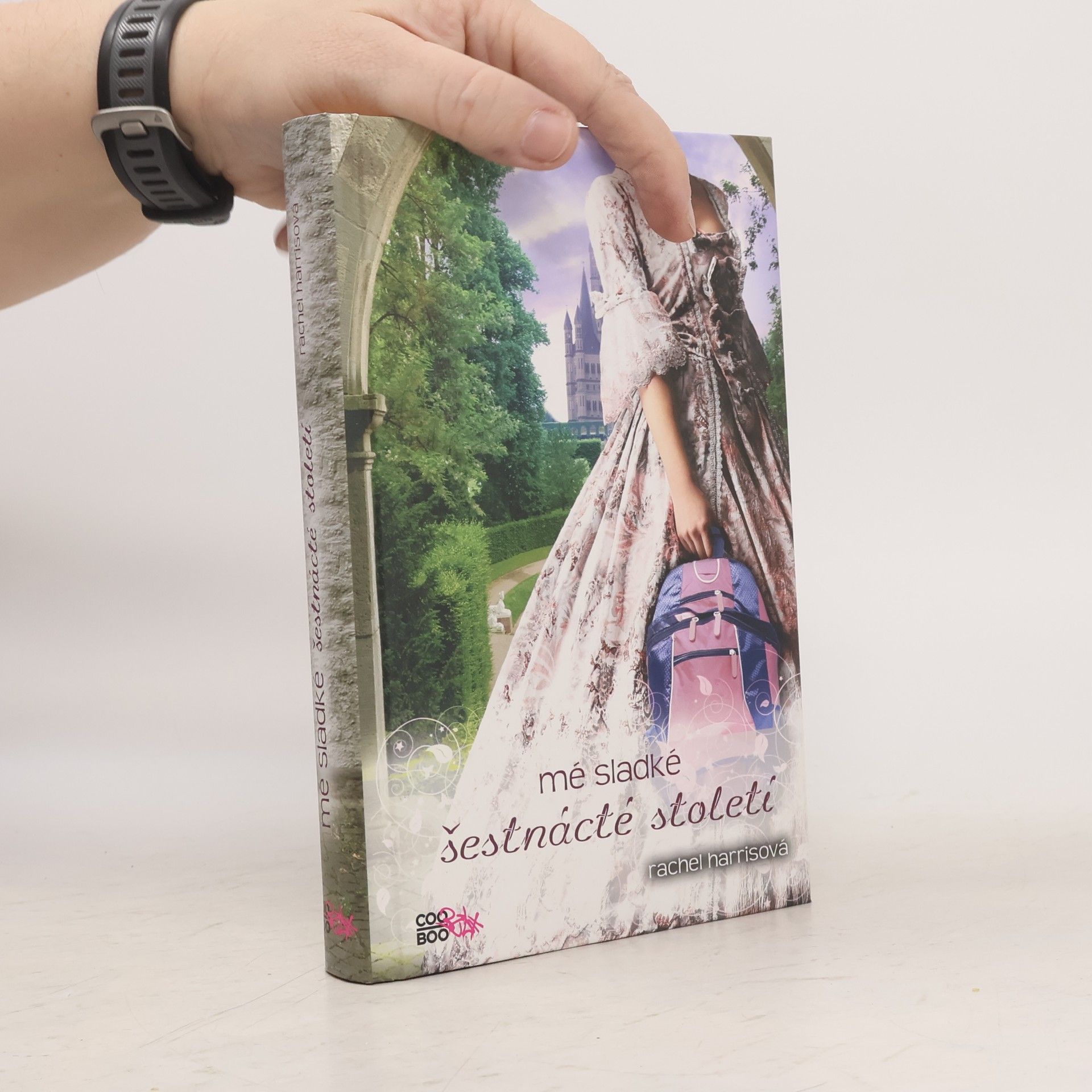 Rachel Harris Mé sladké šestnácté století
