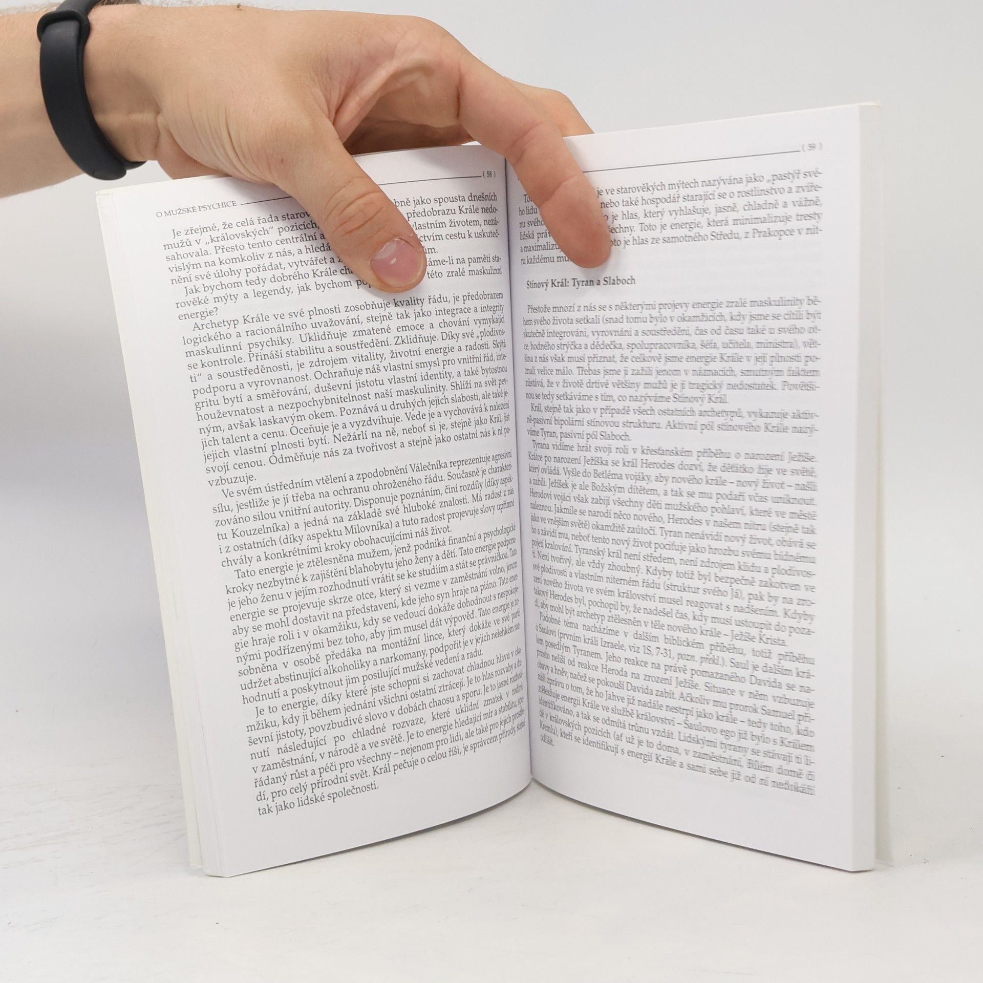 Robert L. Moore Král, válečník, kouzelník, milovník, aneb, O mužské psychice