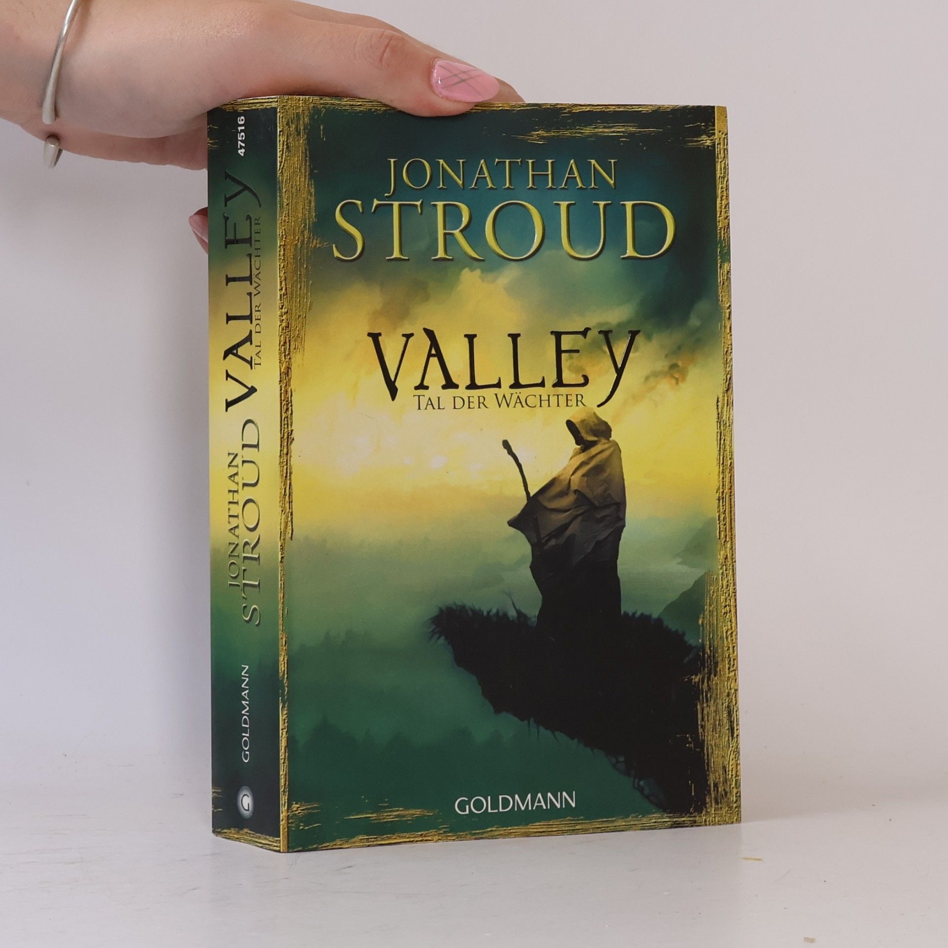 Jonathan Stroud Valley - Tal der Wächter