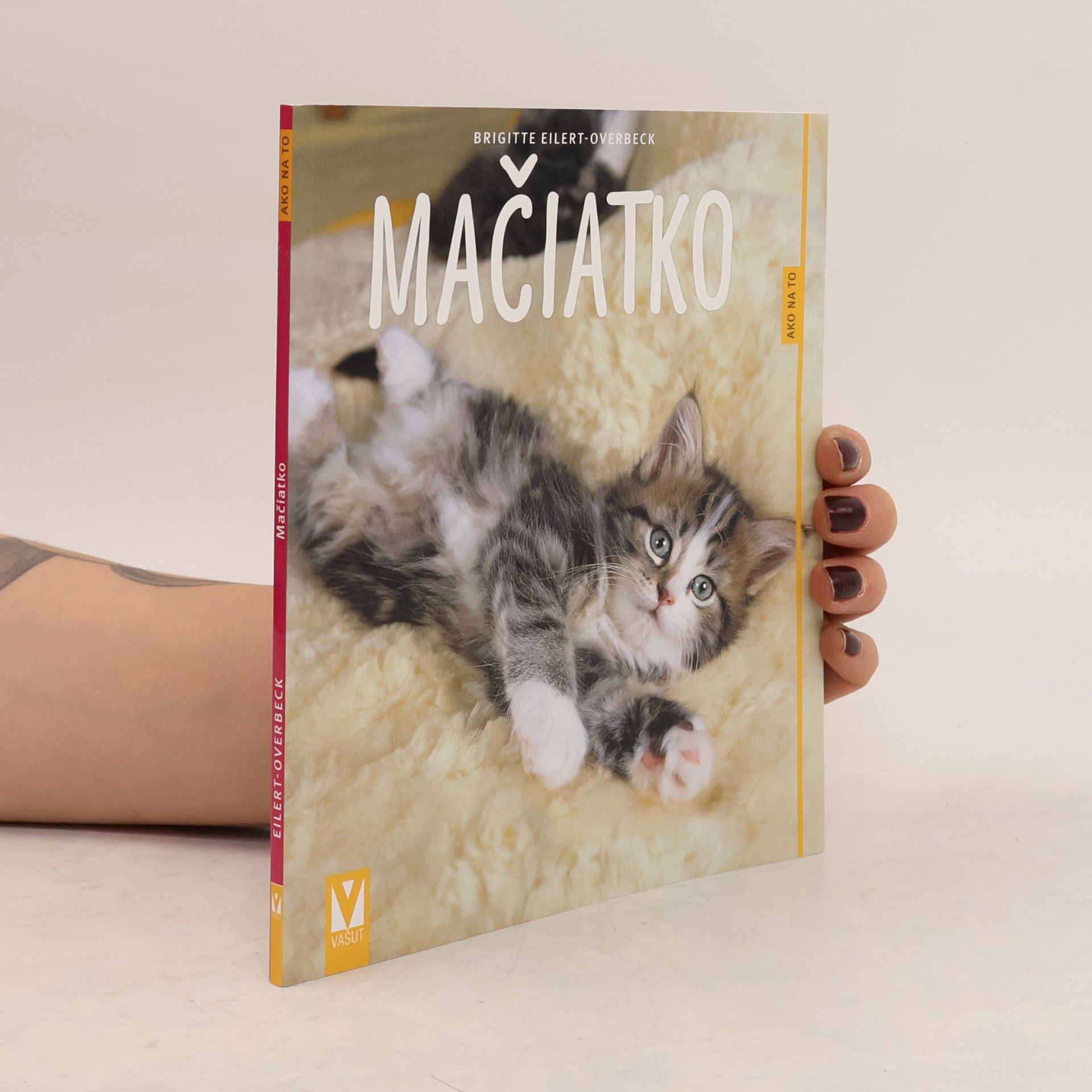 Kolektiv autorů Mačiatko