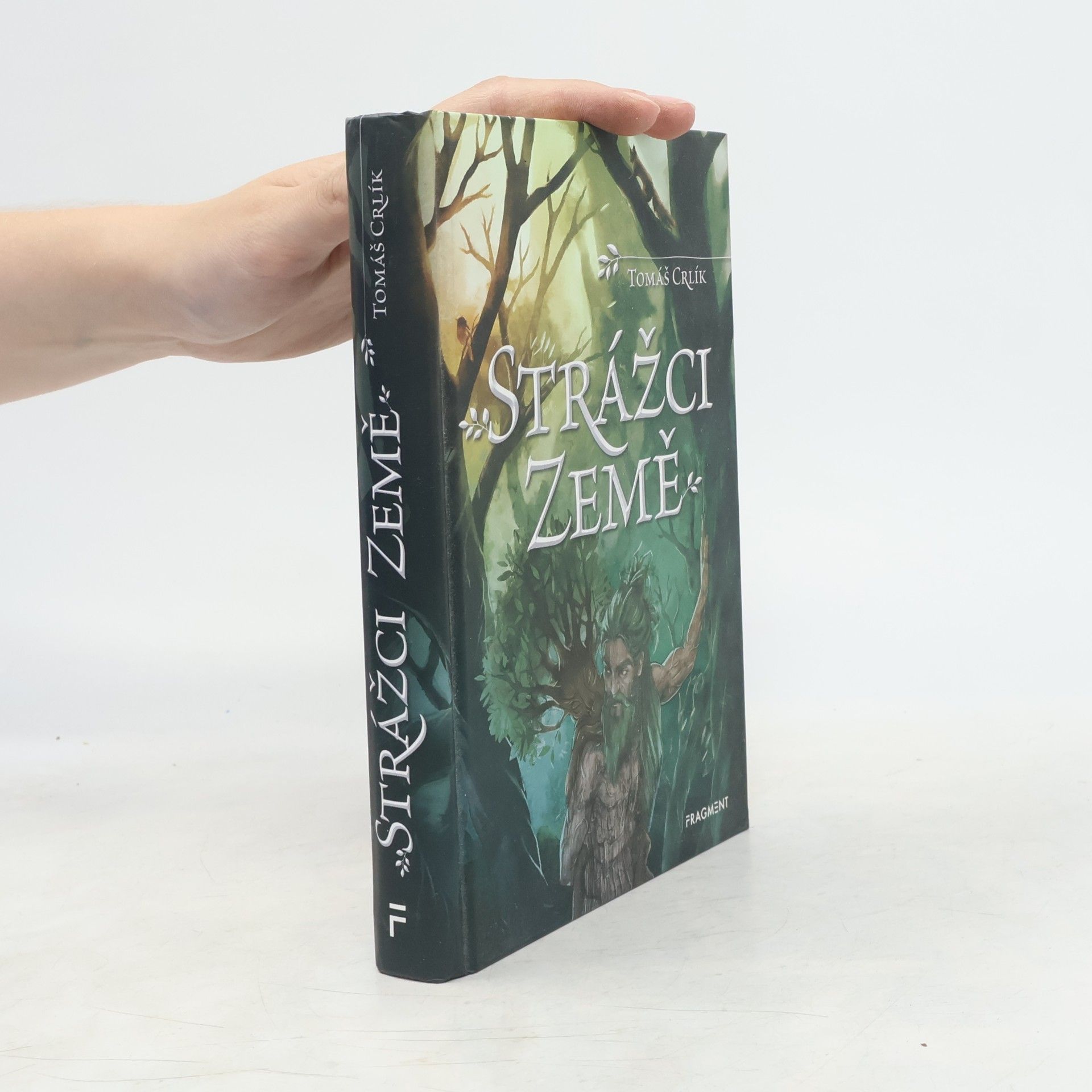 Ergall Strážci Země