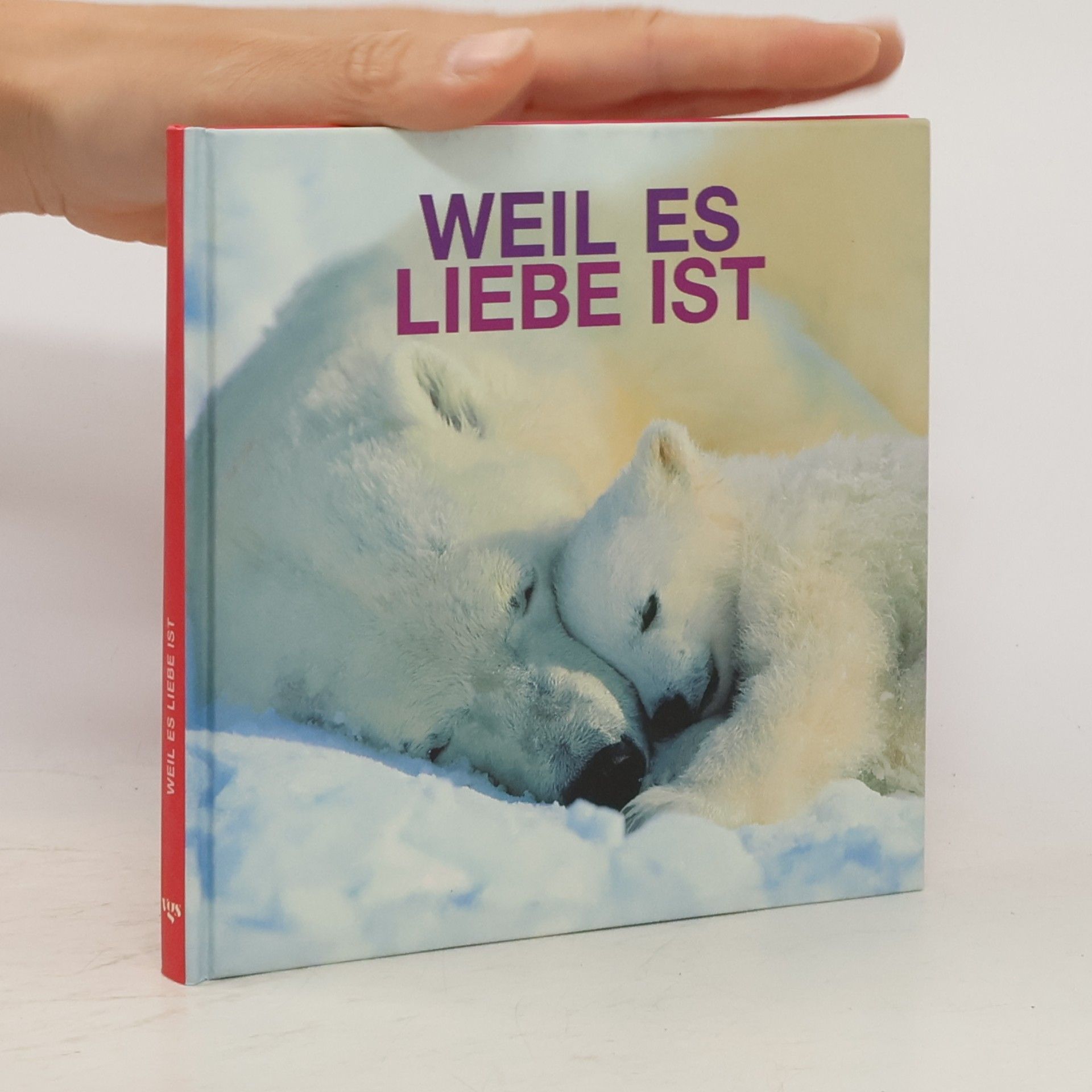Doreen Reeck Weil es Liebe ist