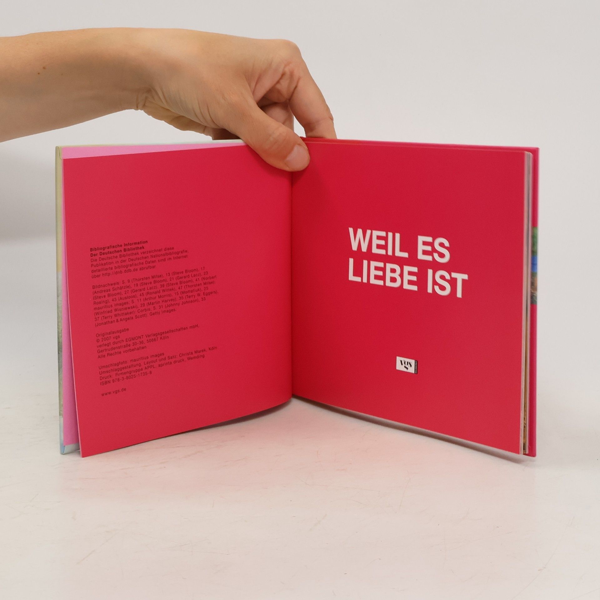 Doreen Reeck Weil es Liebe ist