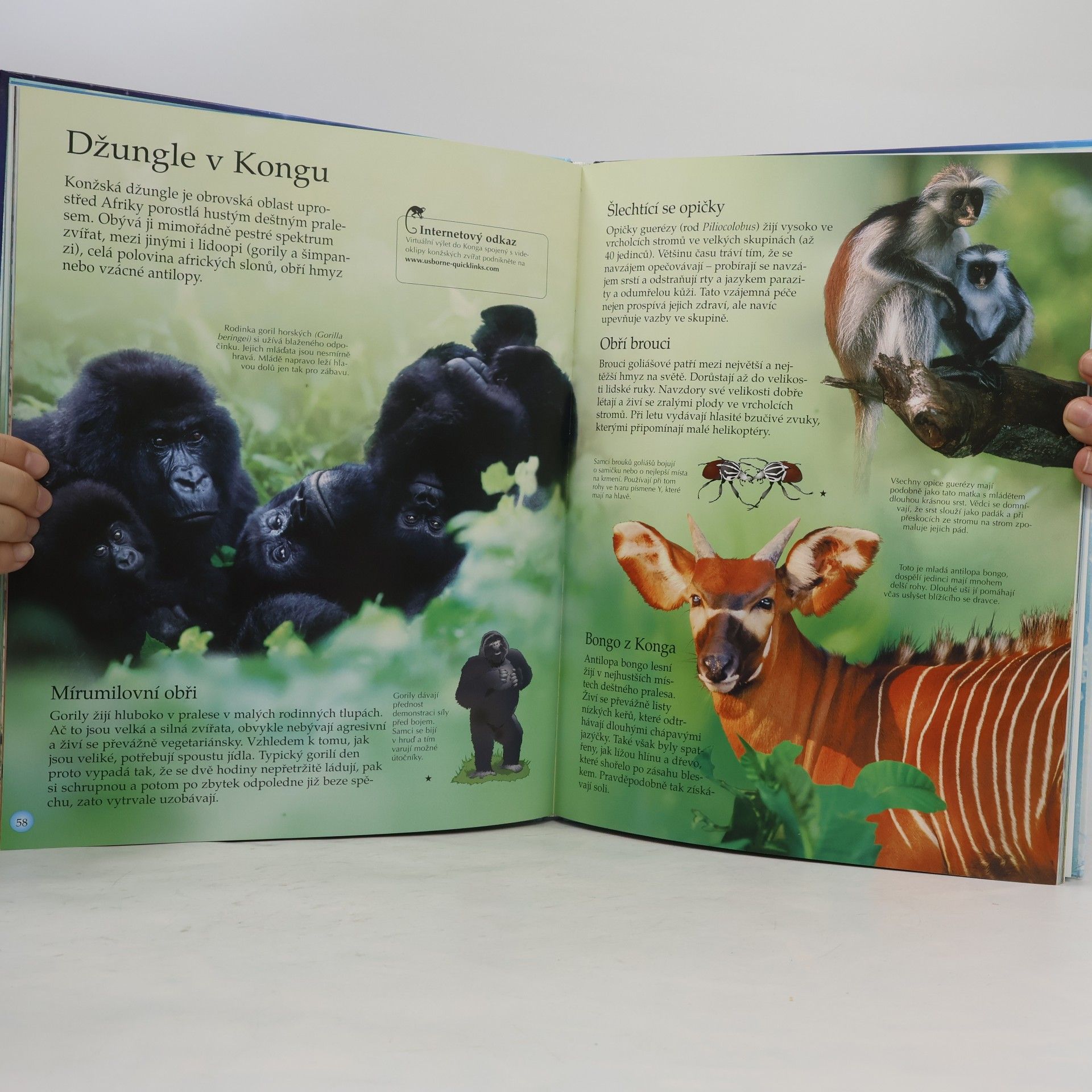 Autores varios Tajemství světa zvířat