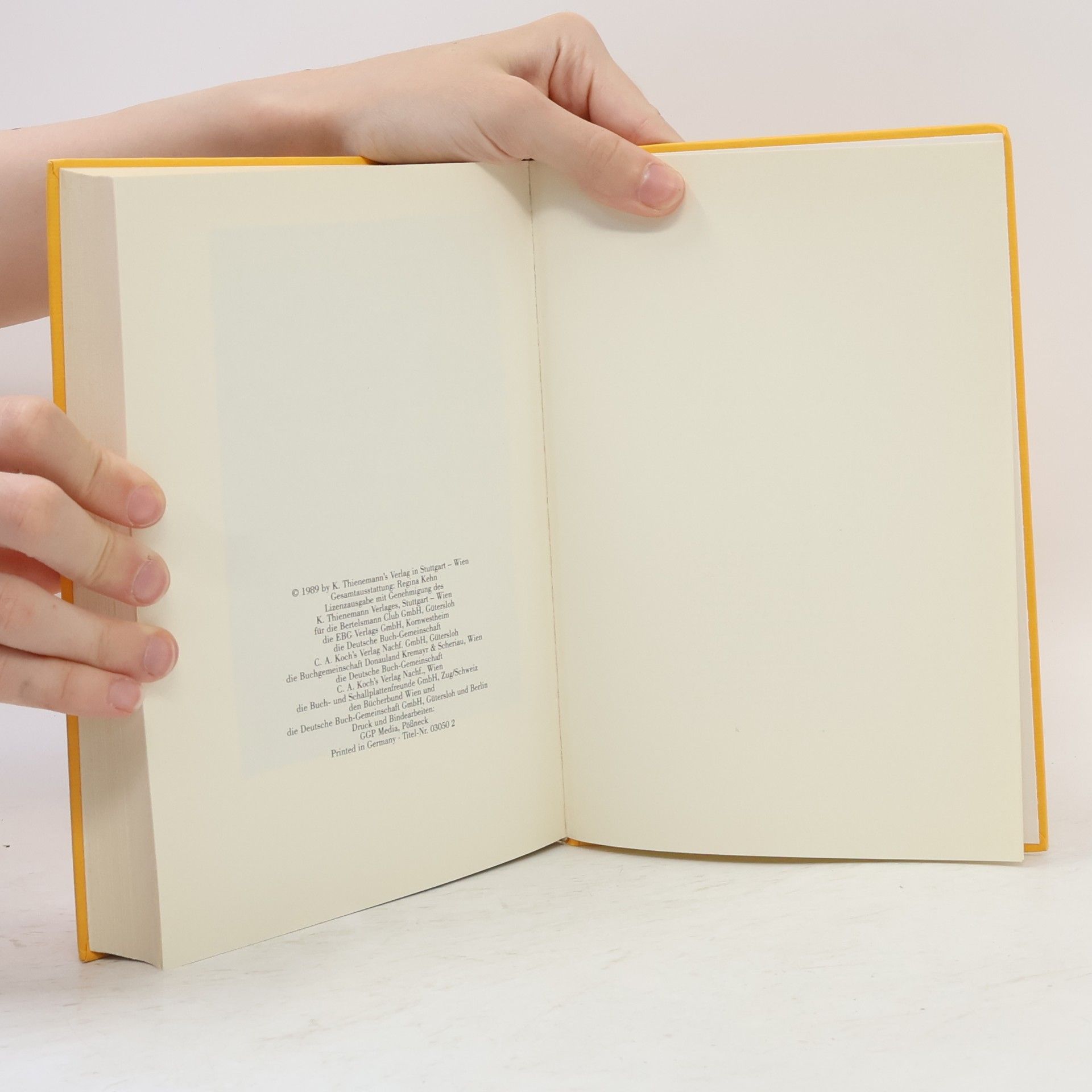 Michael Ende Der satanarchäolügenialkohöllische Wunschpunsch