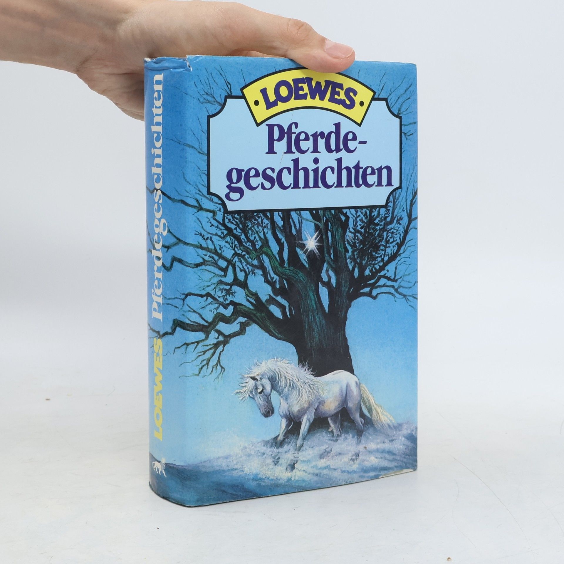 Kolektiv autorů Loewes Pferdegeschichten