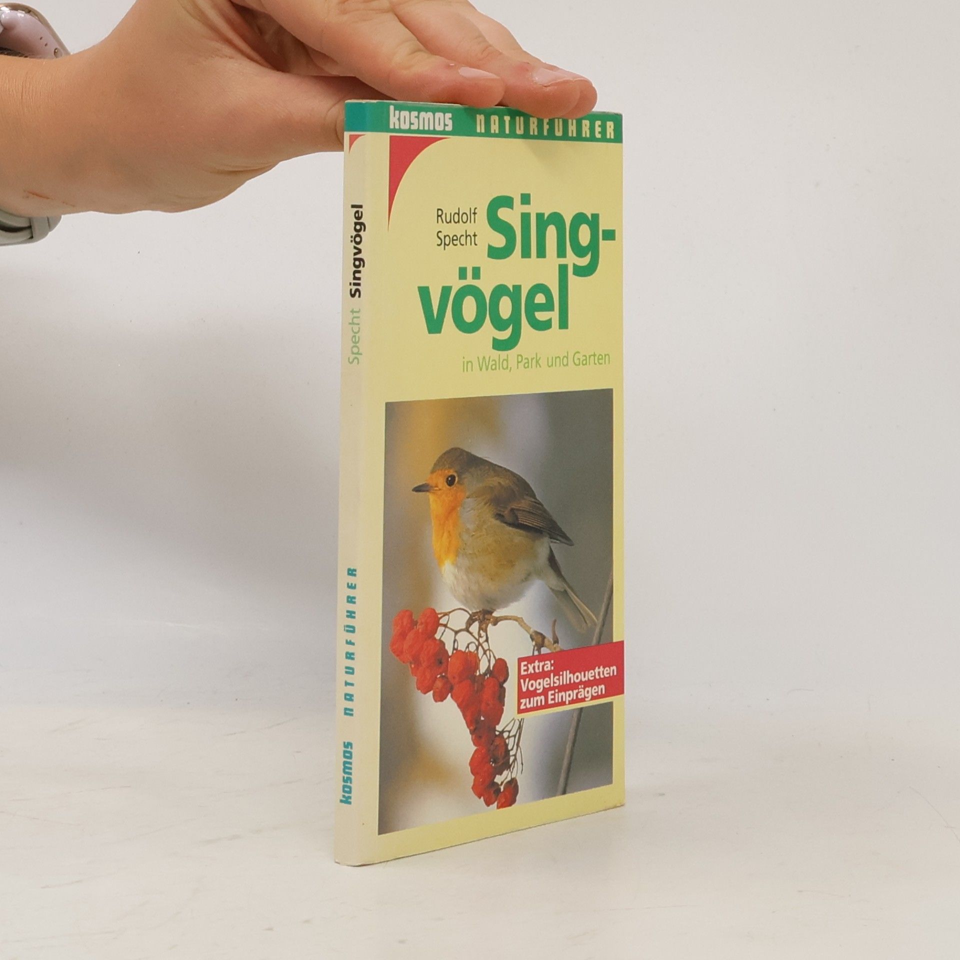 Rudolf Specht Singvögel