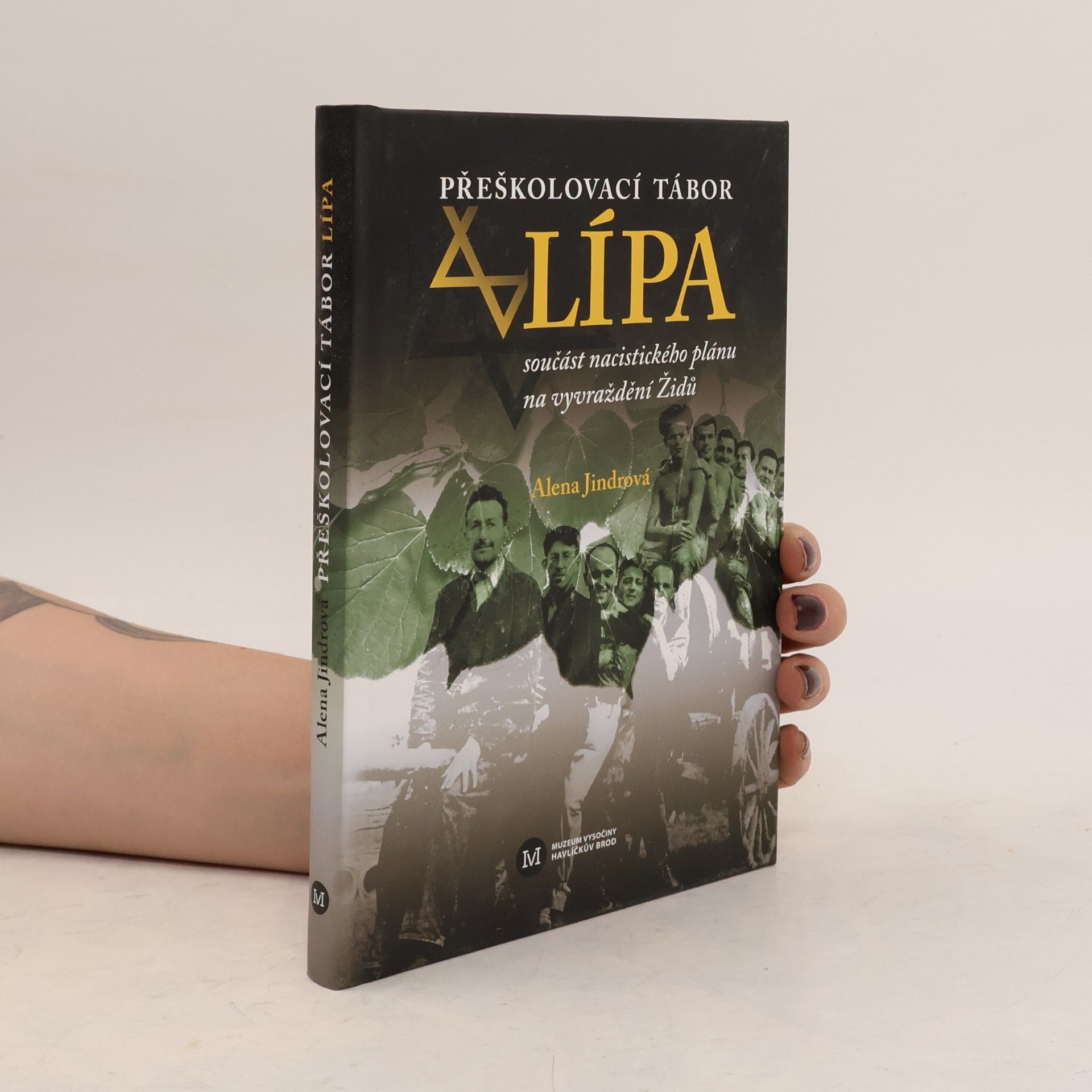 Alena Jindrová Přeškolovací tábor Lípa