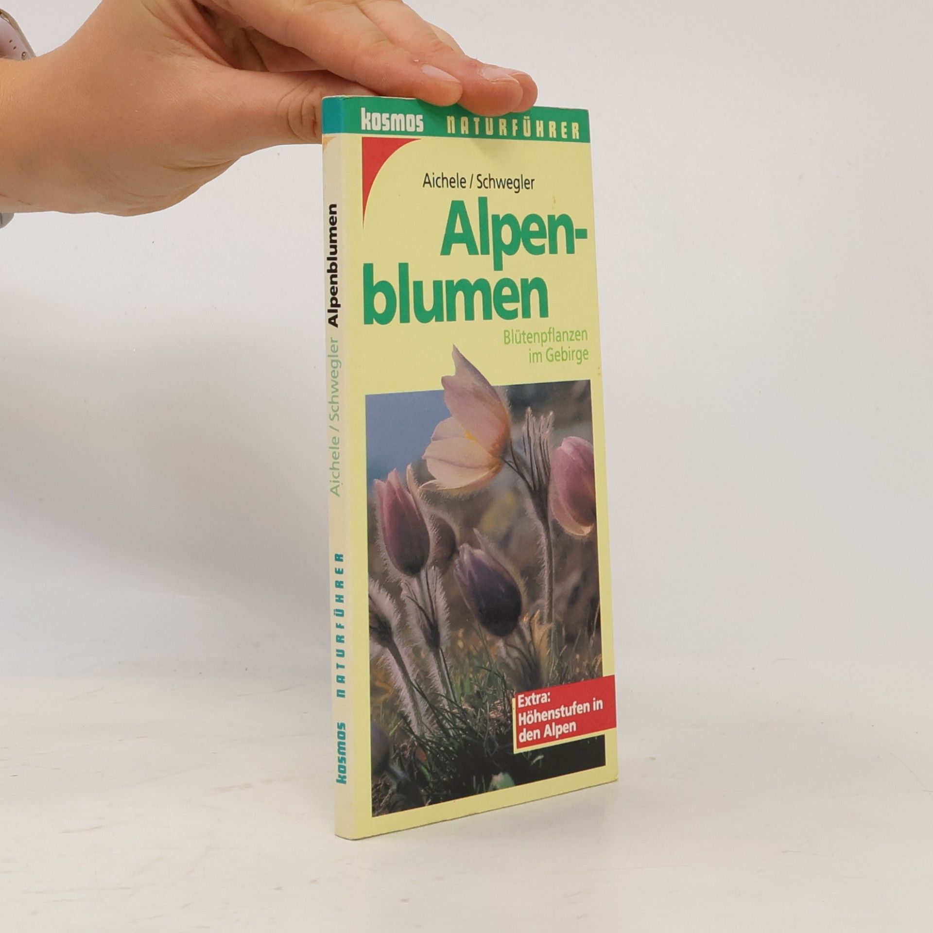 Dietmar Aichele Alpenblumen