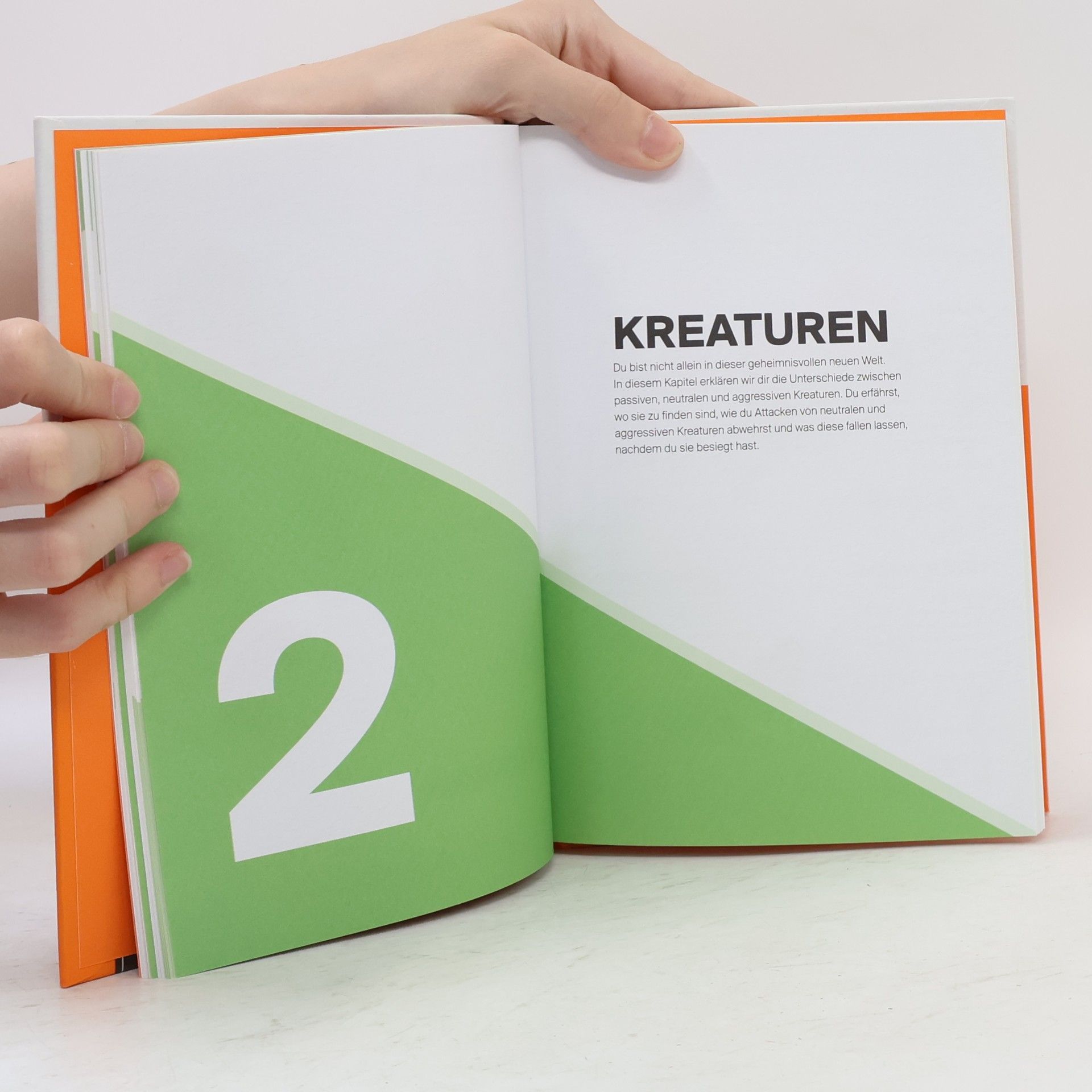 Stephanie Milton Minecraft, Handbuch für Eroberer