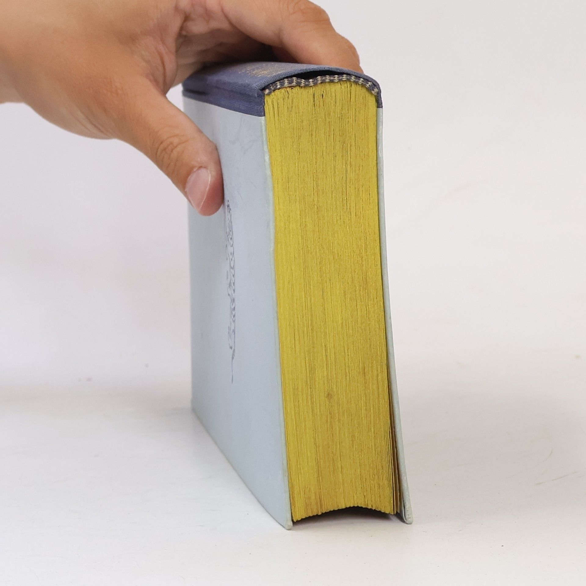 Otto Schilt Der Zauberer der Toteninsel