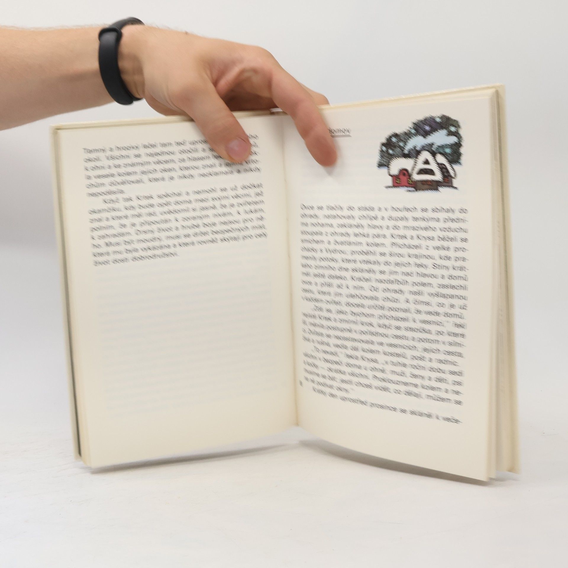Kenneth Grahame Žabákova dobrodružství