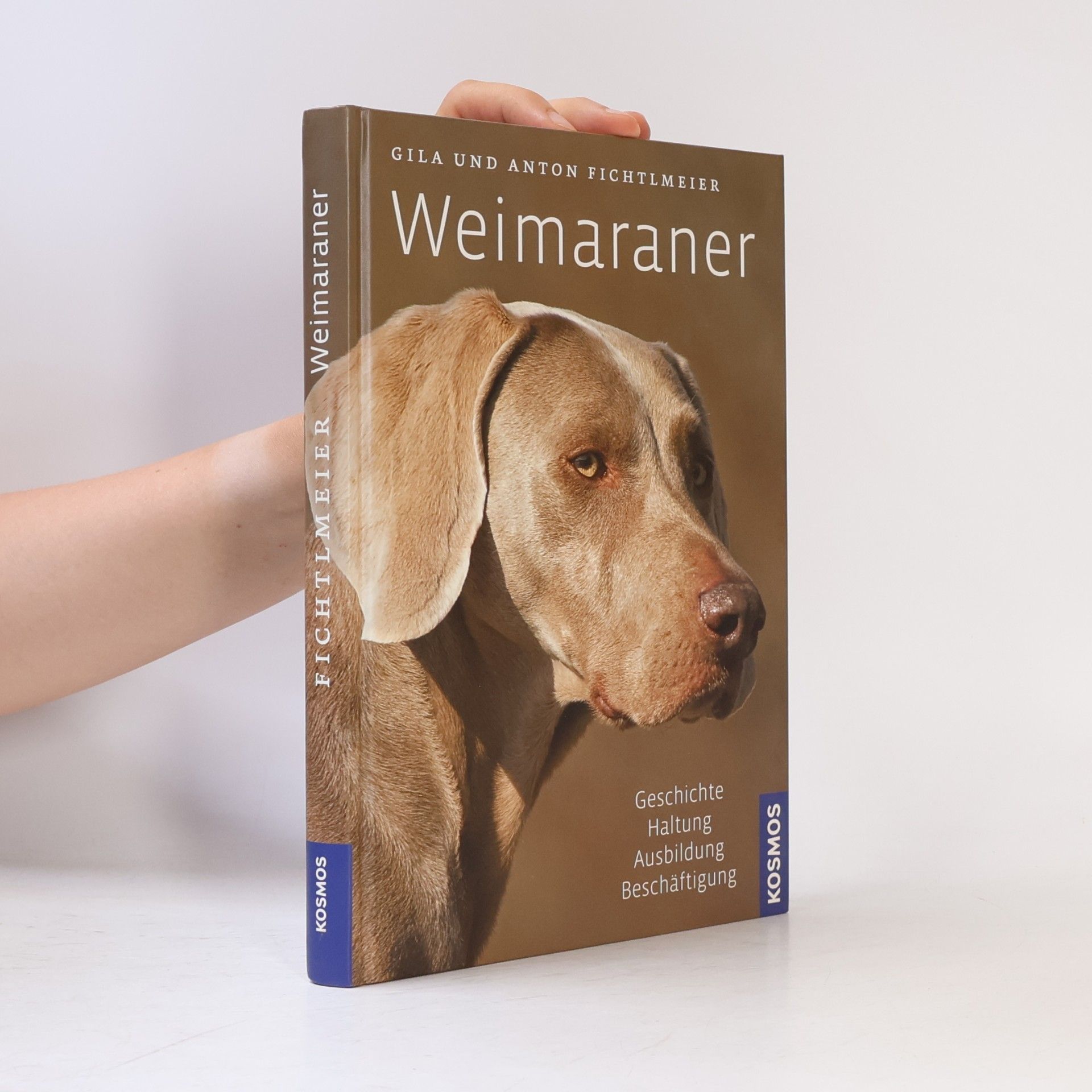 Gila Fichtlmeier Weimaraner