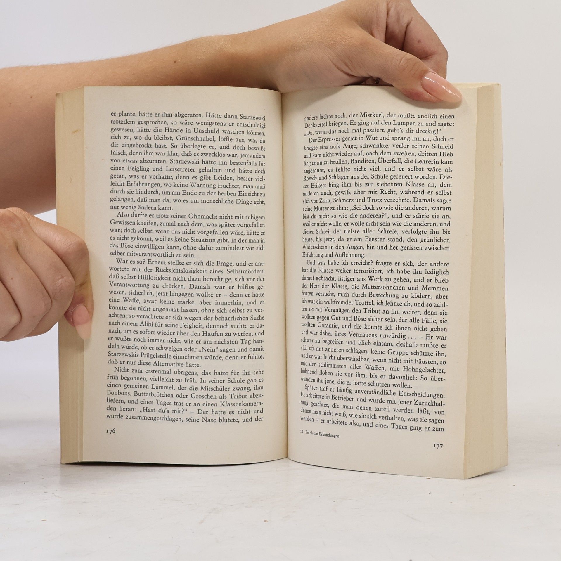 Autorenkollektiv Erkundungen. 19 polnische Erzähler