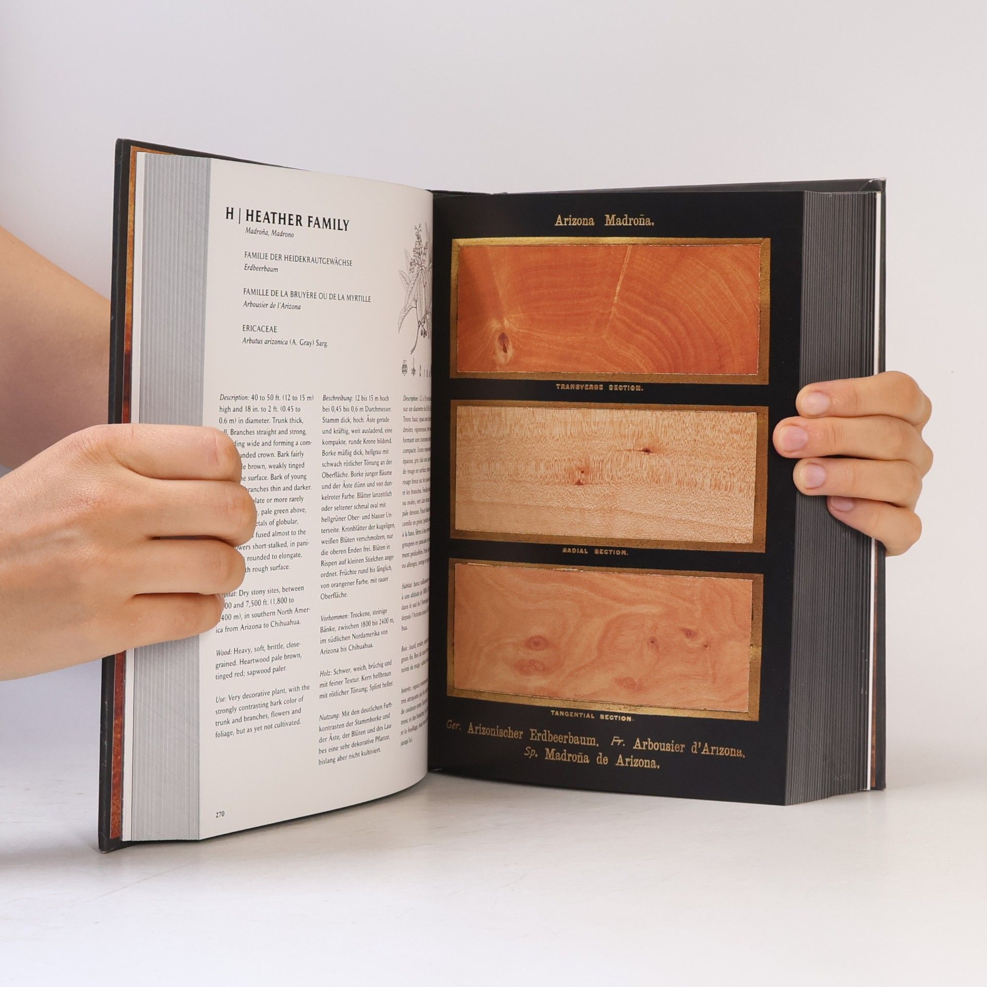 Andrew McRobb The Woodbook