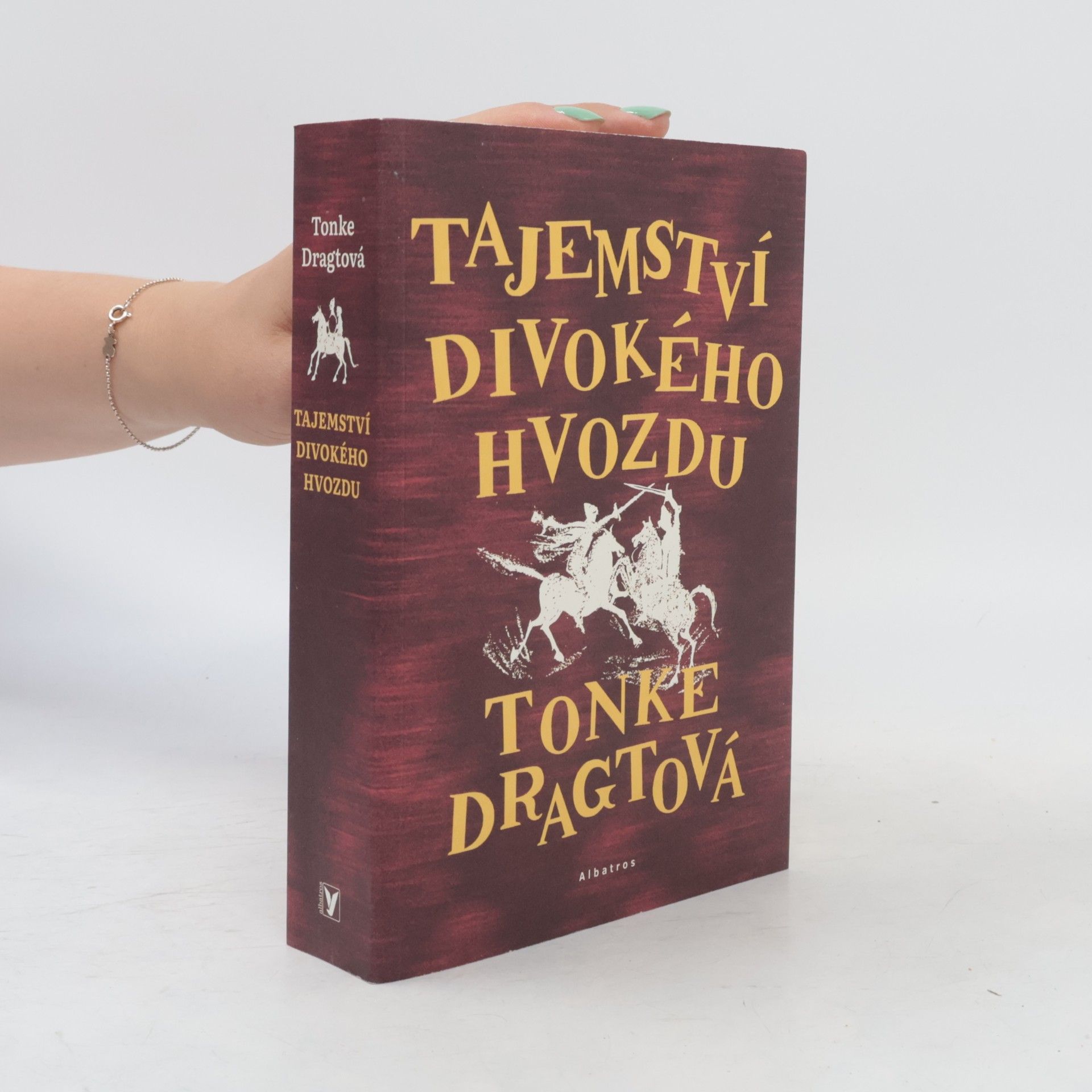 Tonke Dragt Tajemství Divokého hvozdu