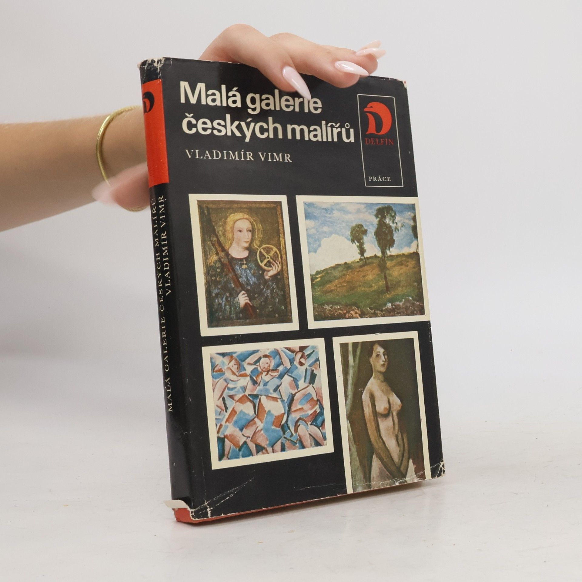 Vladimír Vimr Malá galerie českých malířů
