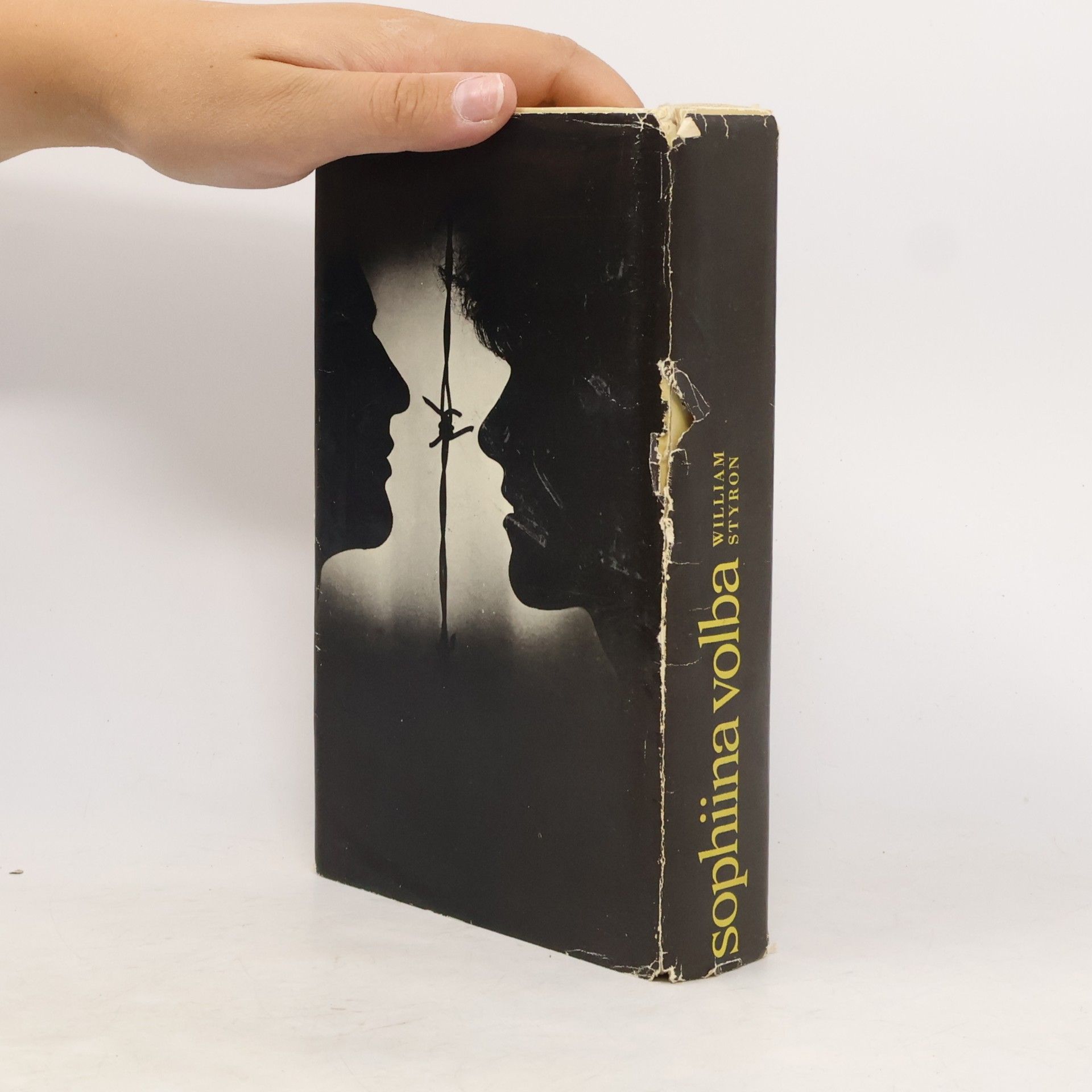 William Styron Sophiina volba
