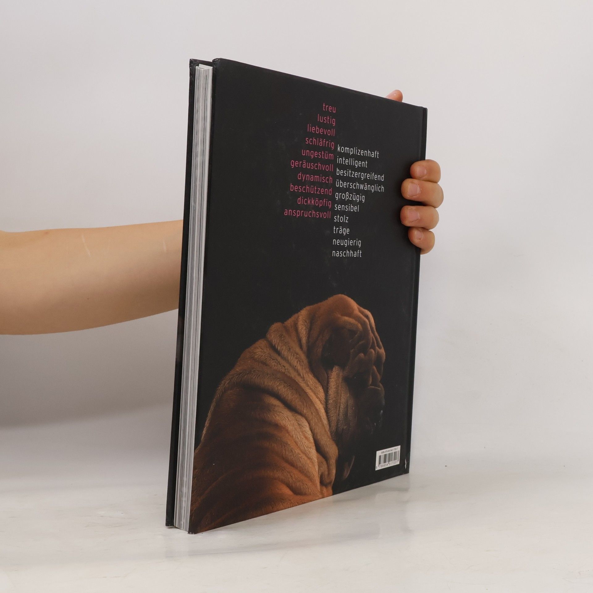 Araldo De Luca Hunde, Hunde, Hunde