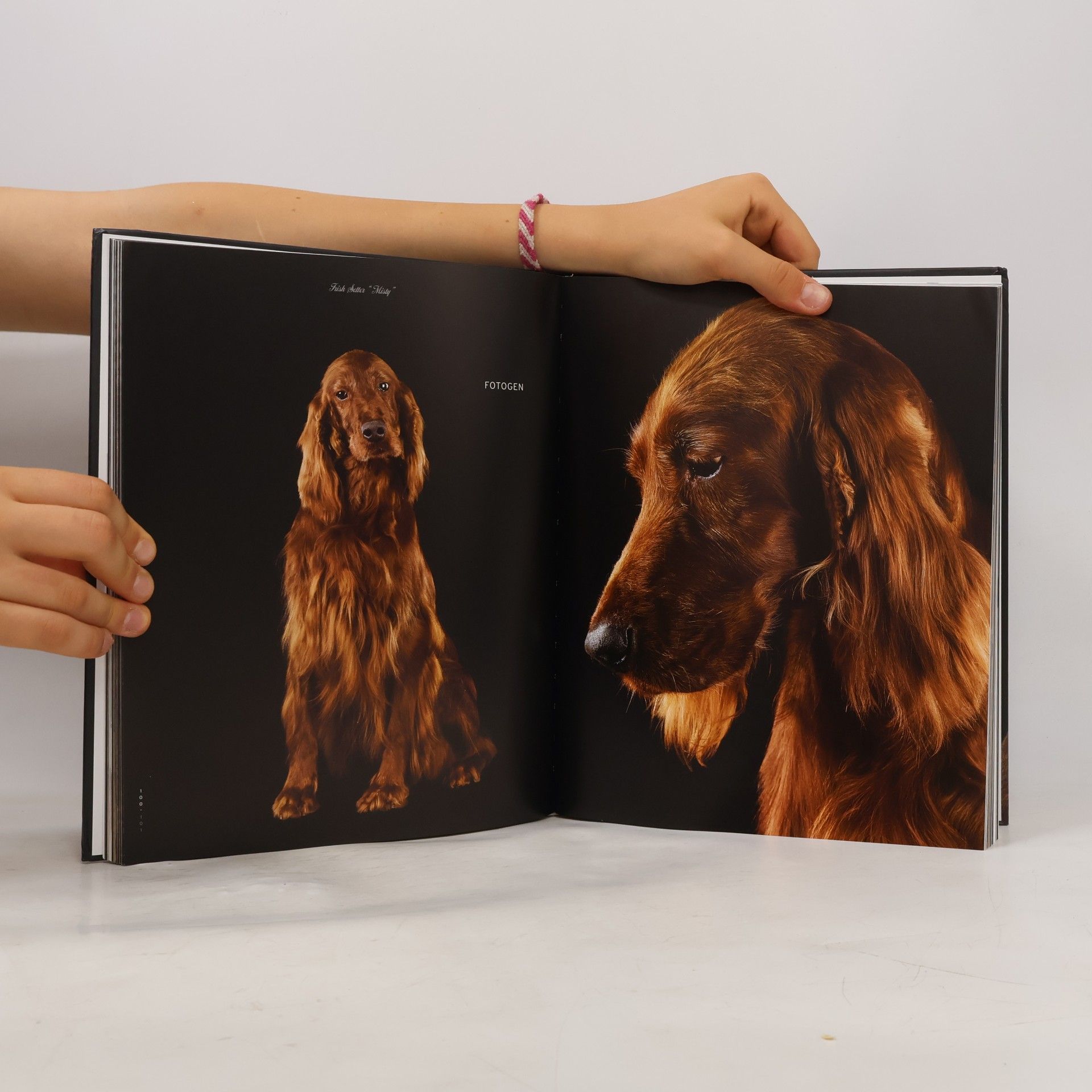 Araldo De Luca Hunde, Hunde, Hunde