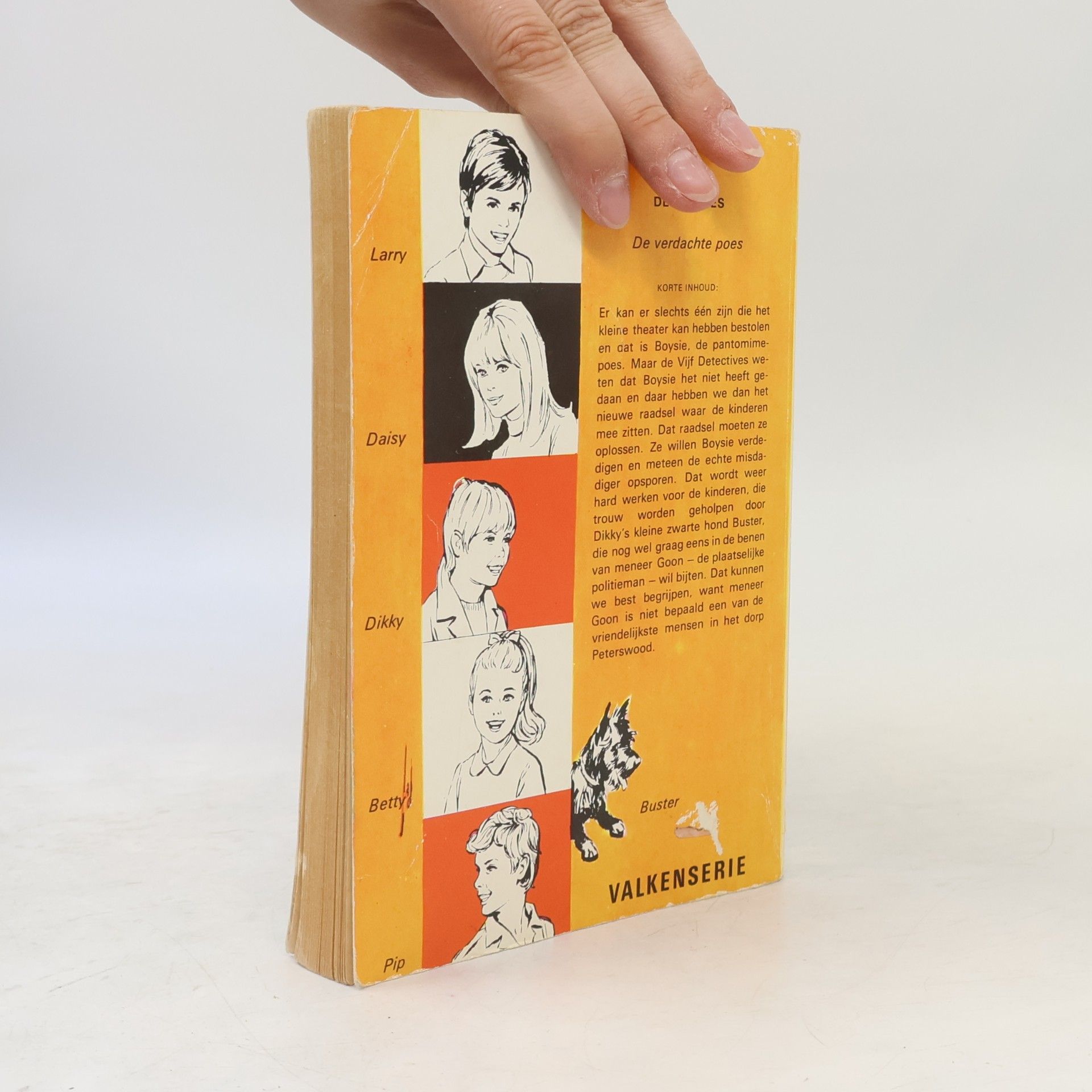 Enid Blyton De Vijf Detectives - 307: De verdachte poes