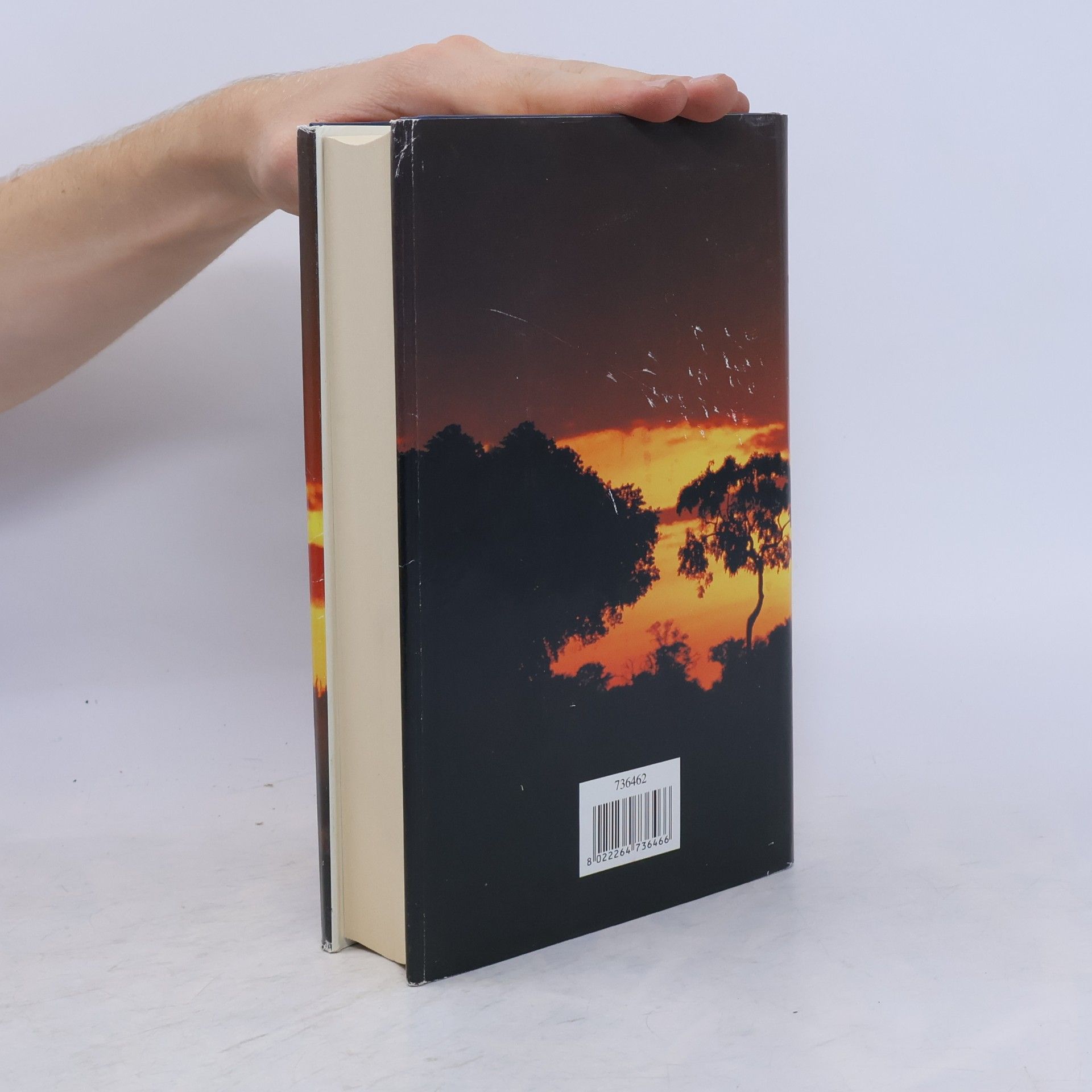 Wilbur A. Smith Il trionfo del sole
