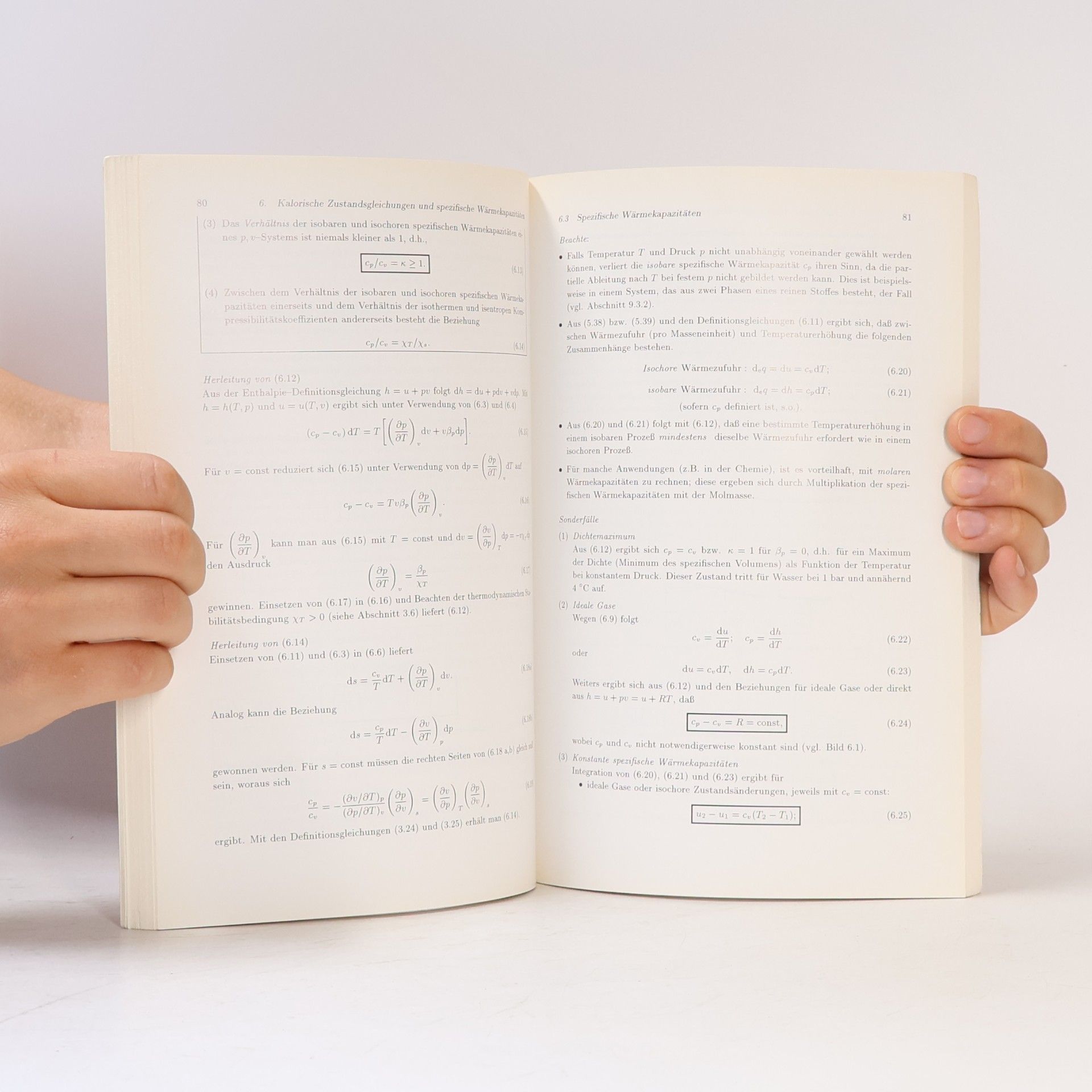 Wilhelm Schneider Repetitorium Thermodynamik: mit 26 Tabellen, 66 Beispielen, 75 Fragen und 173 Aufgaben