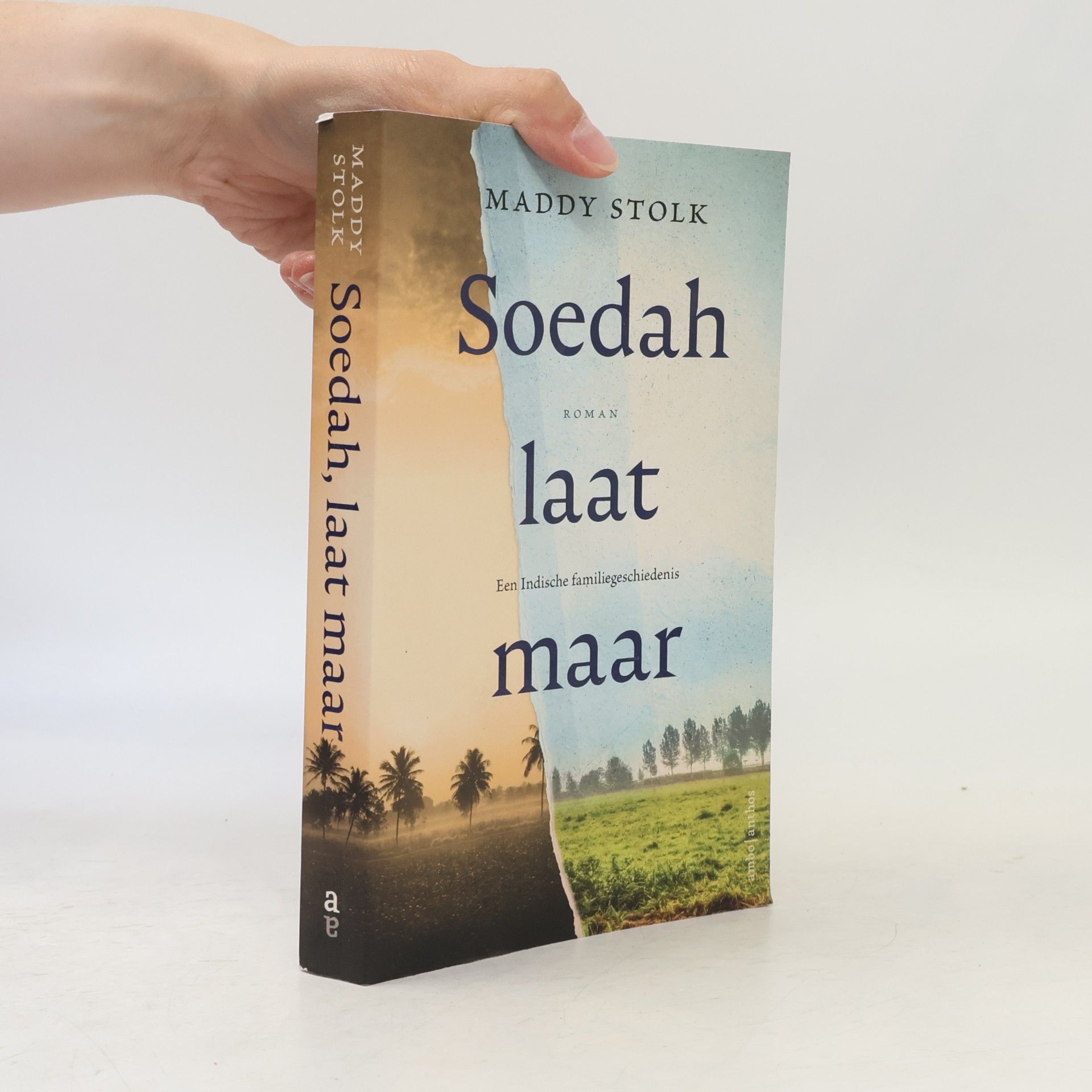 Maddy Stolk Soedah, laat maar. Een indische familiegeschiedenis. Roman