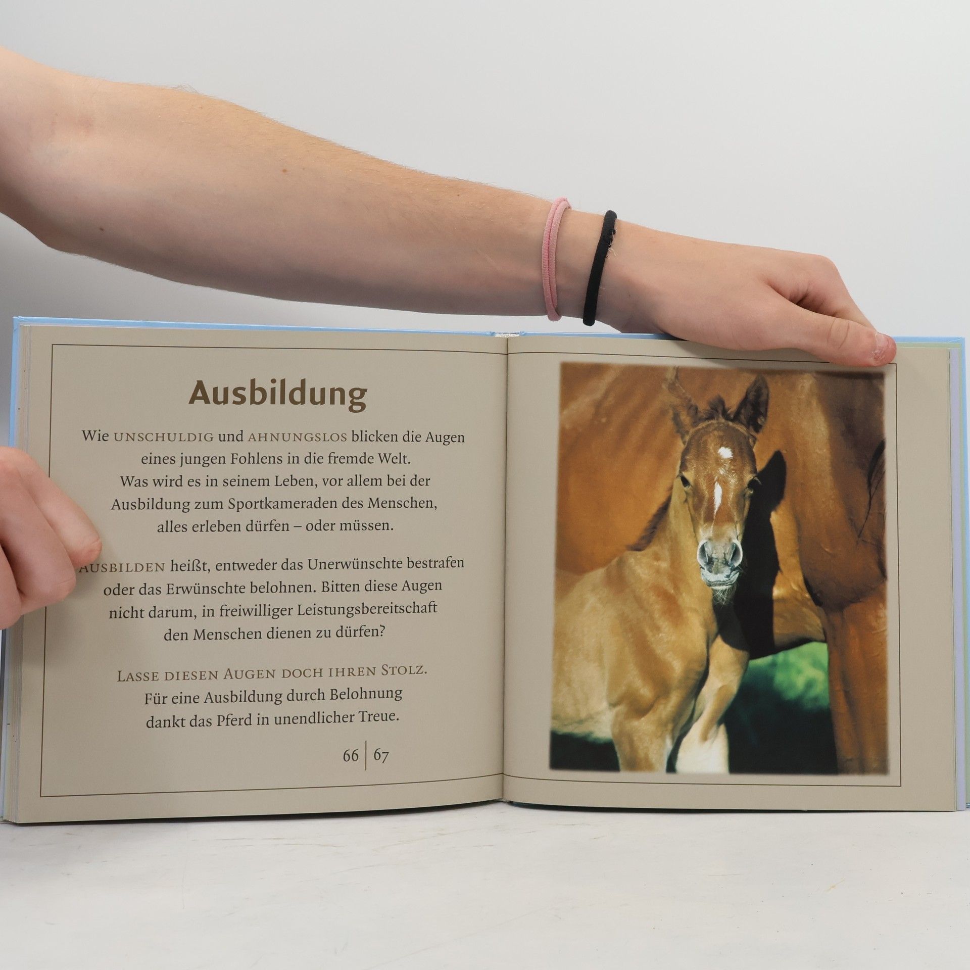 Fred Rai Pferde verleihen uns Flügel