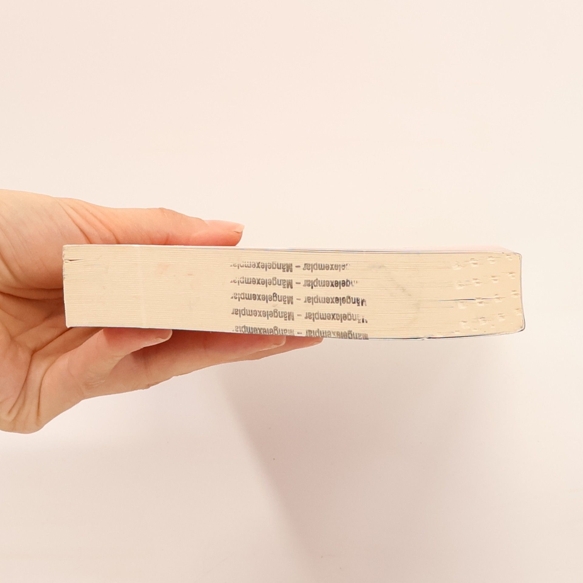 Rosie Snow 19. Das dritte Buch der magischen Angst