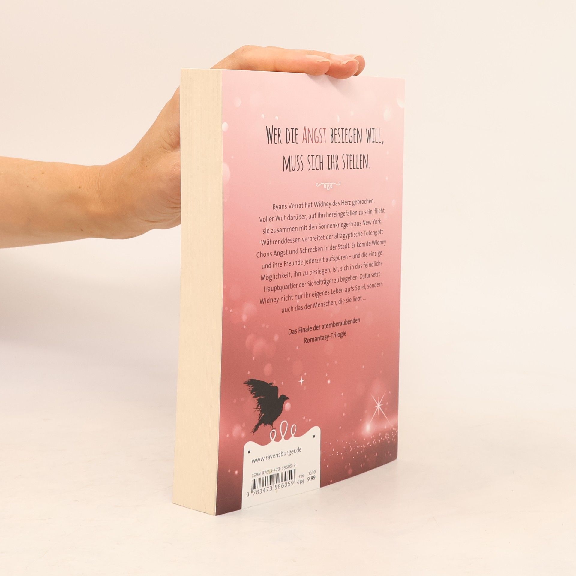 Rosie Snow 19. Das dritte Buch der magischen Angst