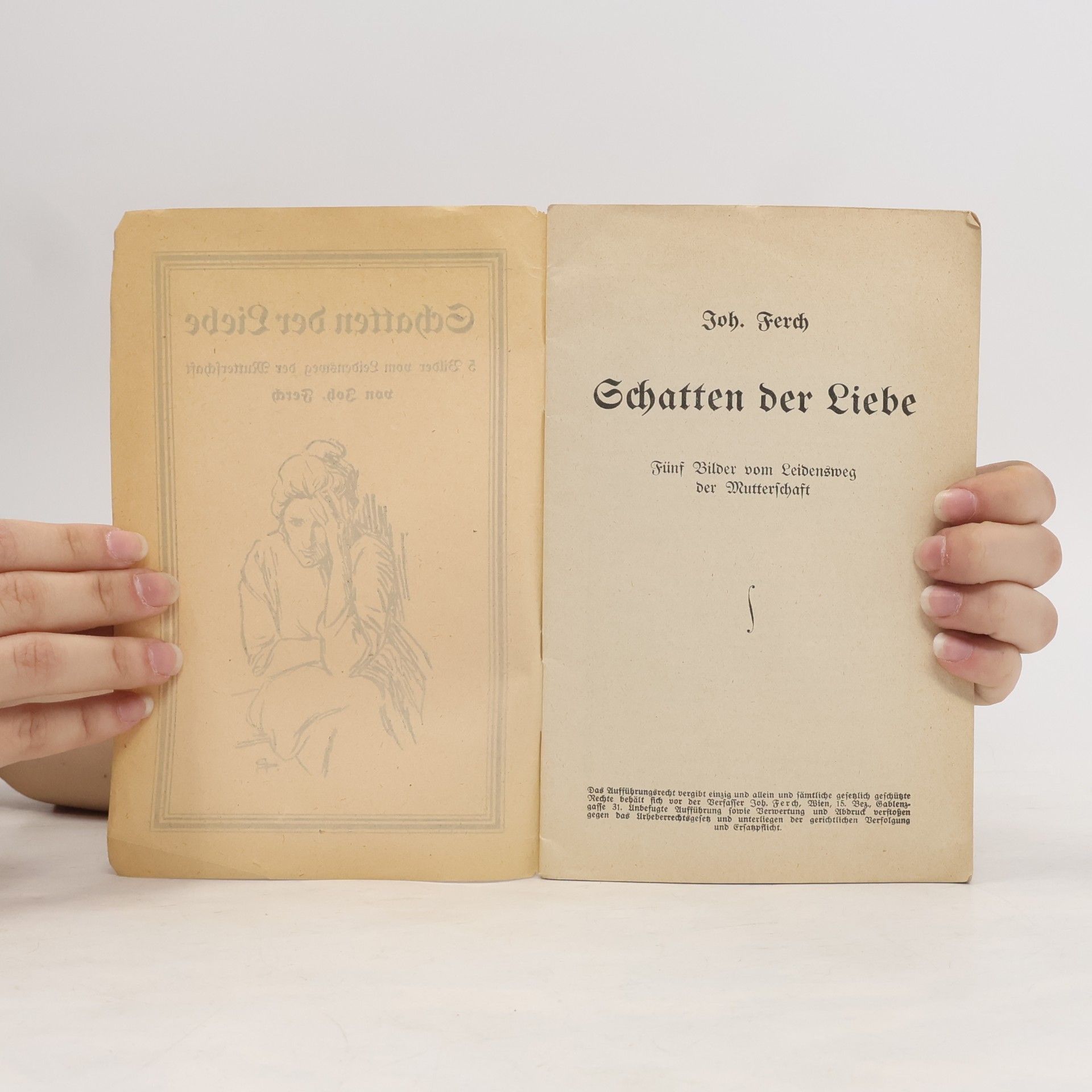 Johann Ferch Schatten der Liebe