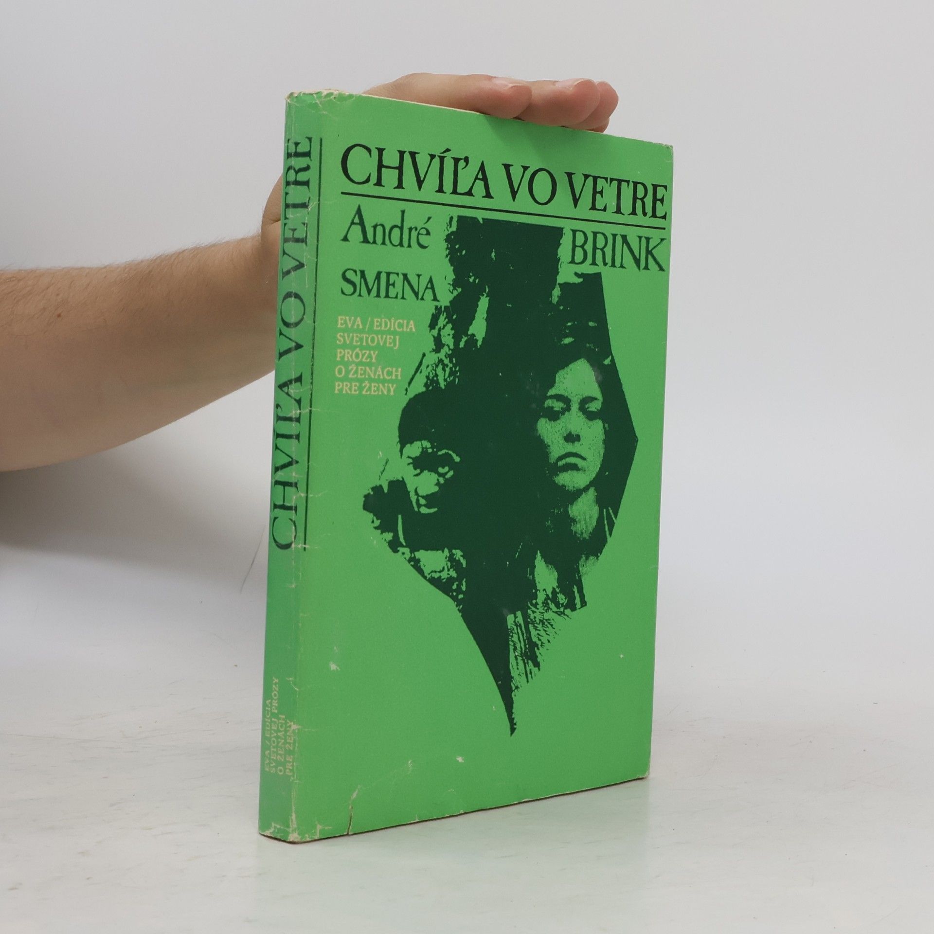 André Brink Chvíľa vo vetre