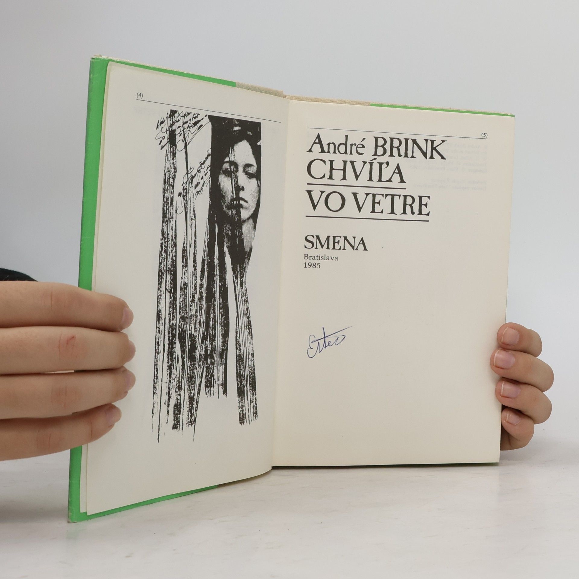 André Brink Chvíľa vo vetre