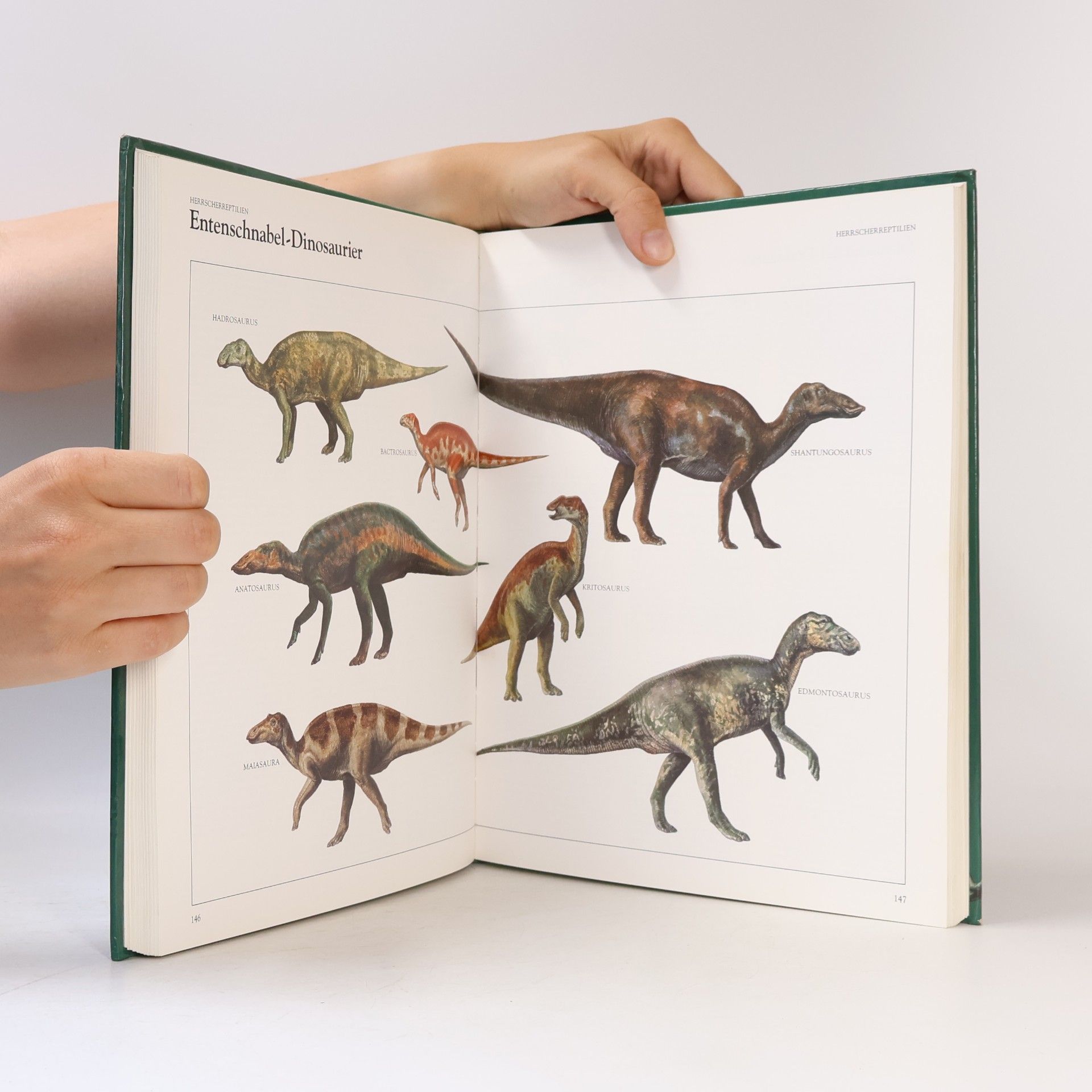 Christopher Barry Cox Dinosaurier und andere Tiere der Vorzeit